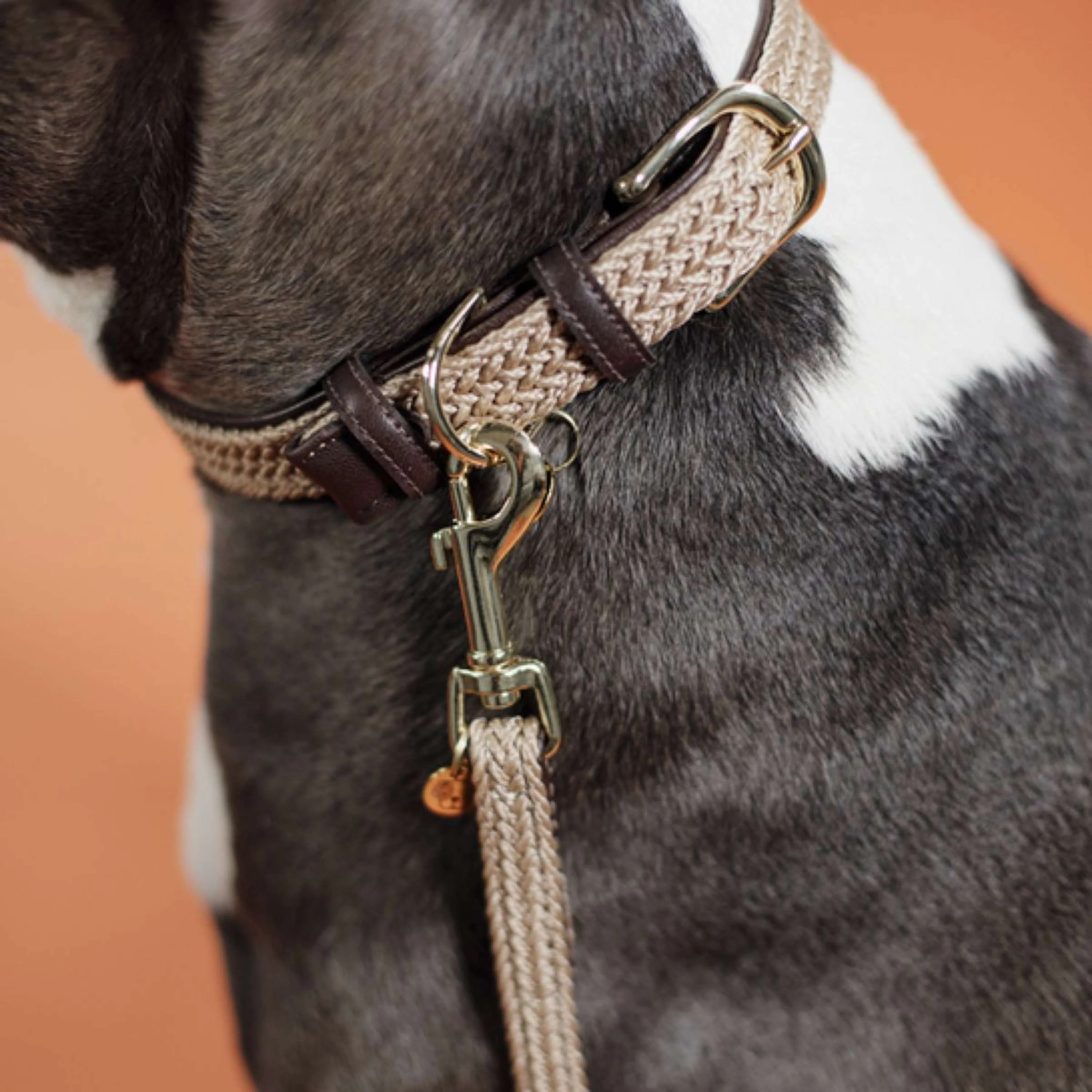 Kentucky Kragen Plaited Nylon Beige - Image 2