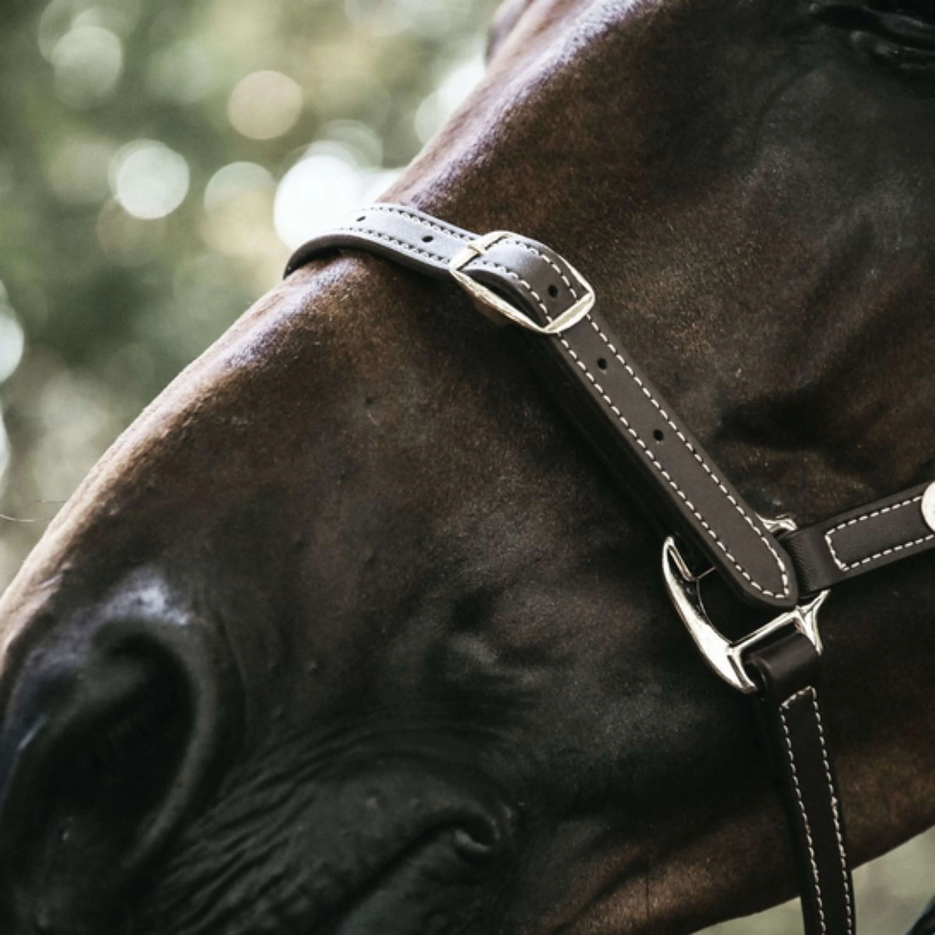 Kentucky Lederhalfter Leather Flexible Braun - Image 3