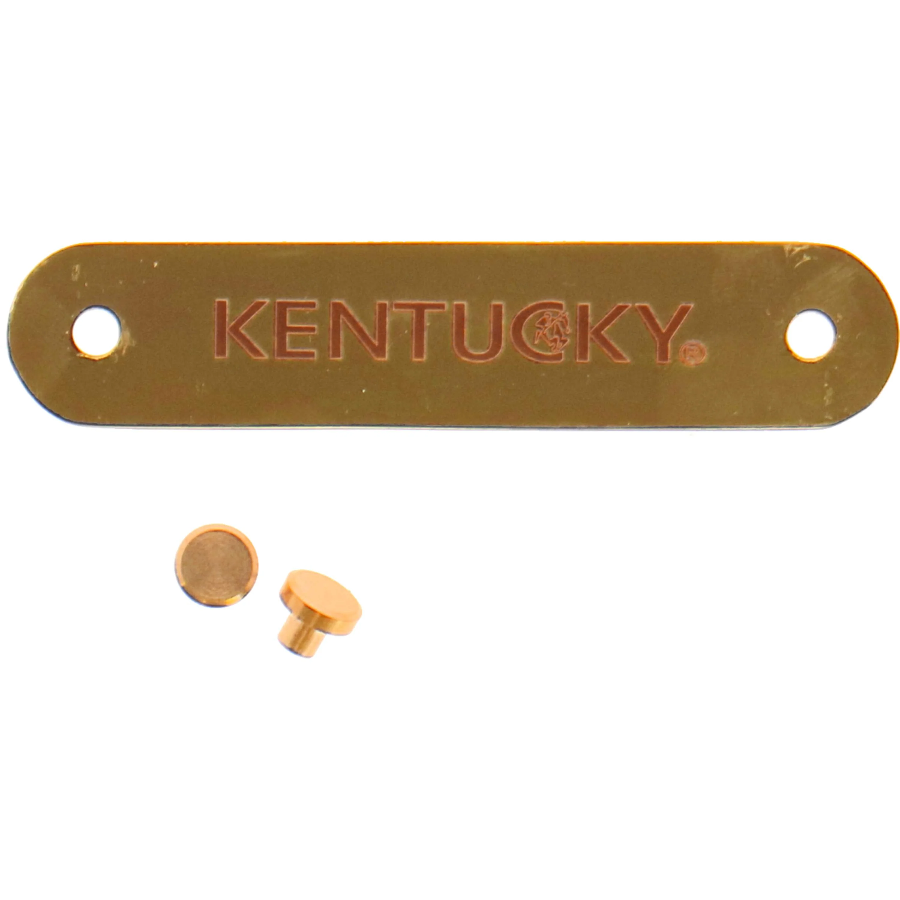 Kentucky Namensschild für Halfter Gold - Image 3
