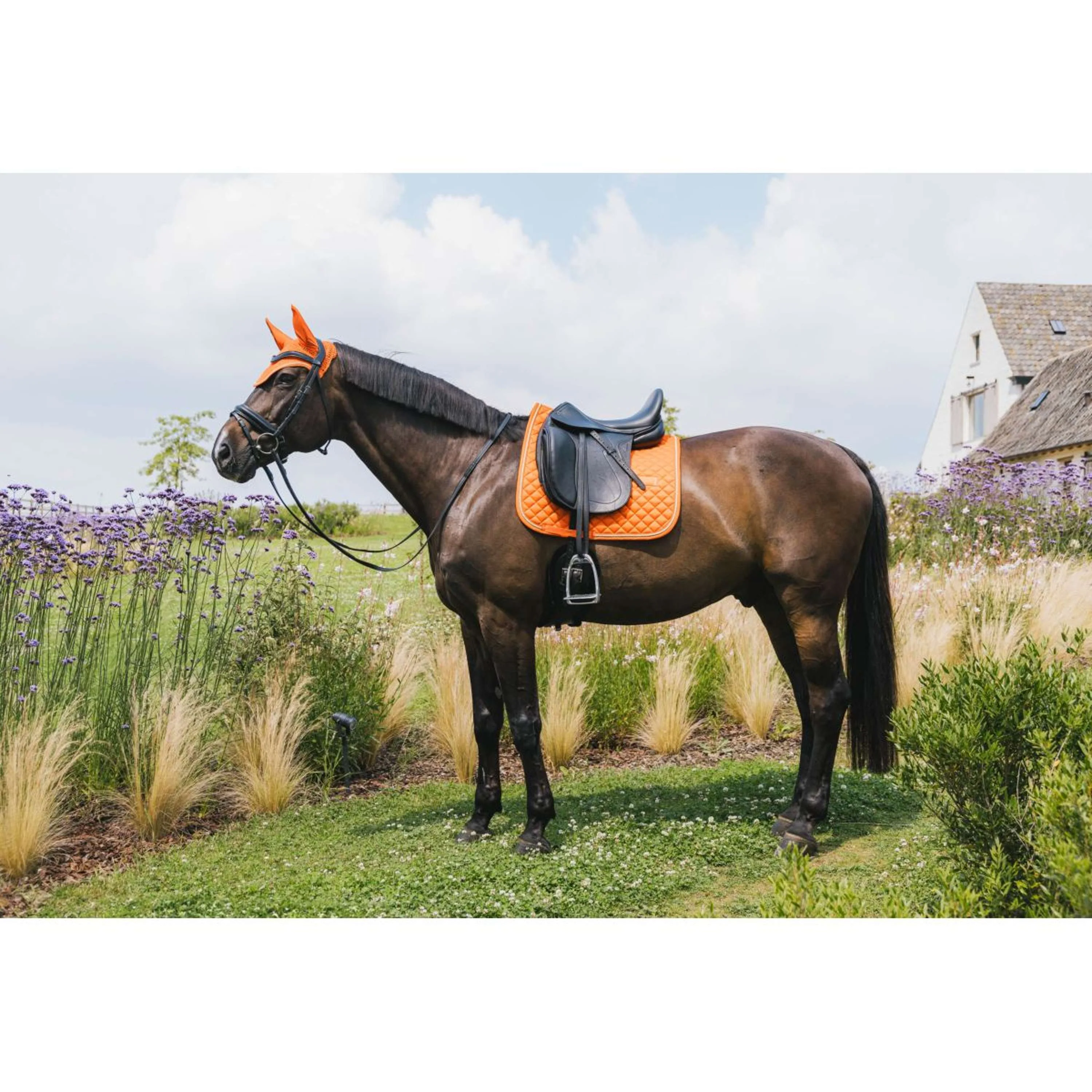 Kentucky Schabracke Diamond Rope Dressur Orange - Image 2