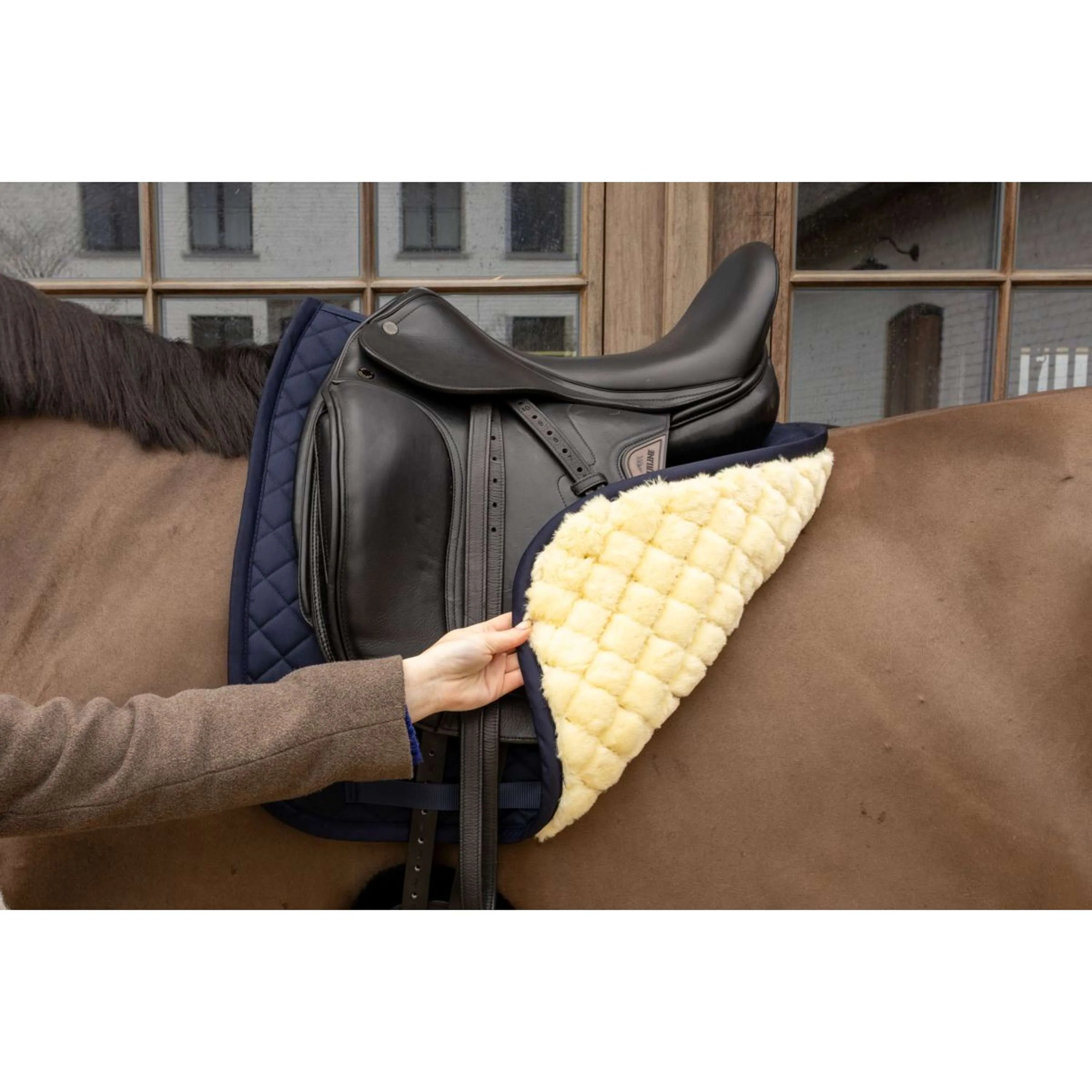 Kentucky Schabracke Skin Friendly Diamond Dressur Navy - Image 3