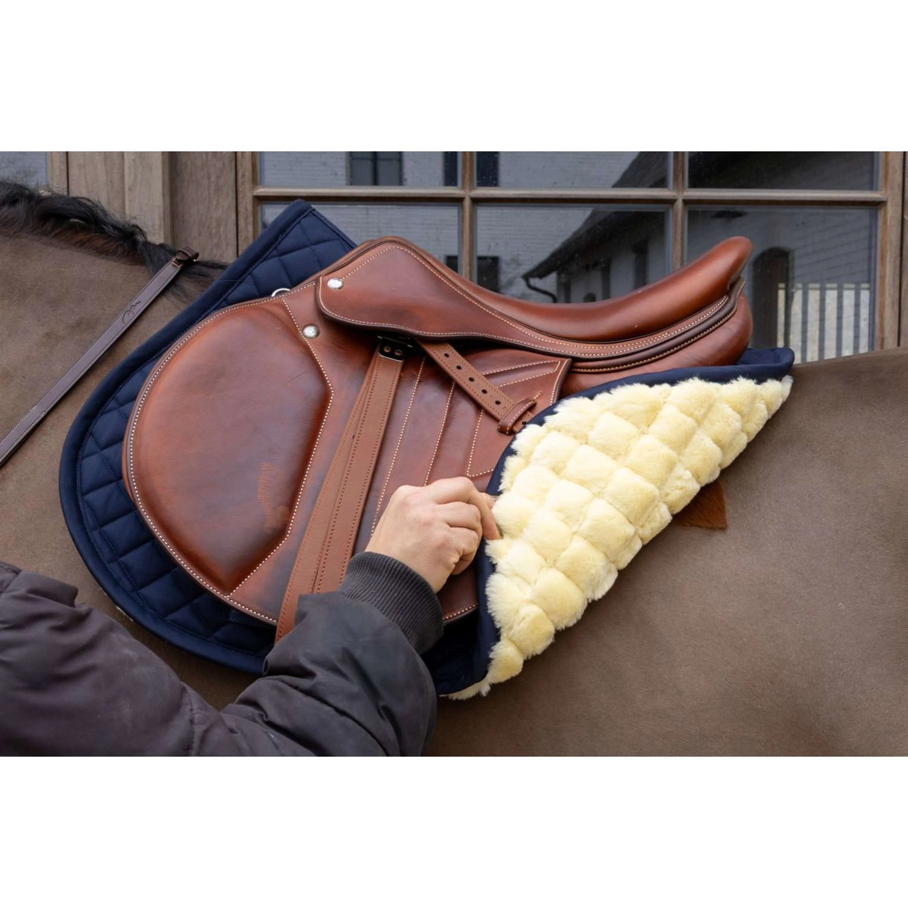 Kentucky Schabracke Skin Friendly Diamond Springen Navy - Image 4