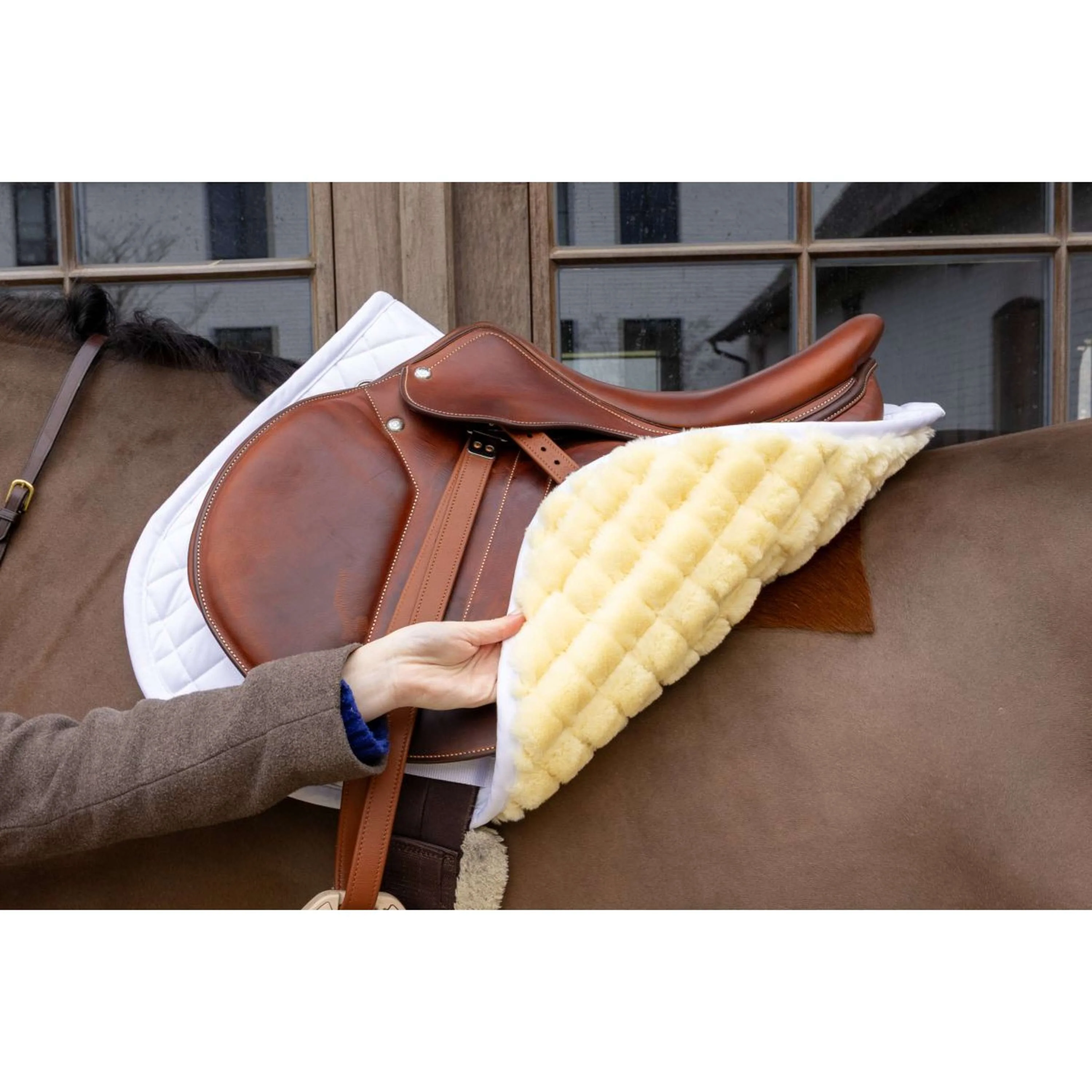 Kentucky Schabracke Skin Friendly Diamond Springen Weiß - Image 5