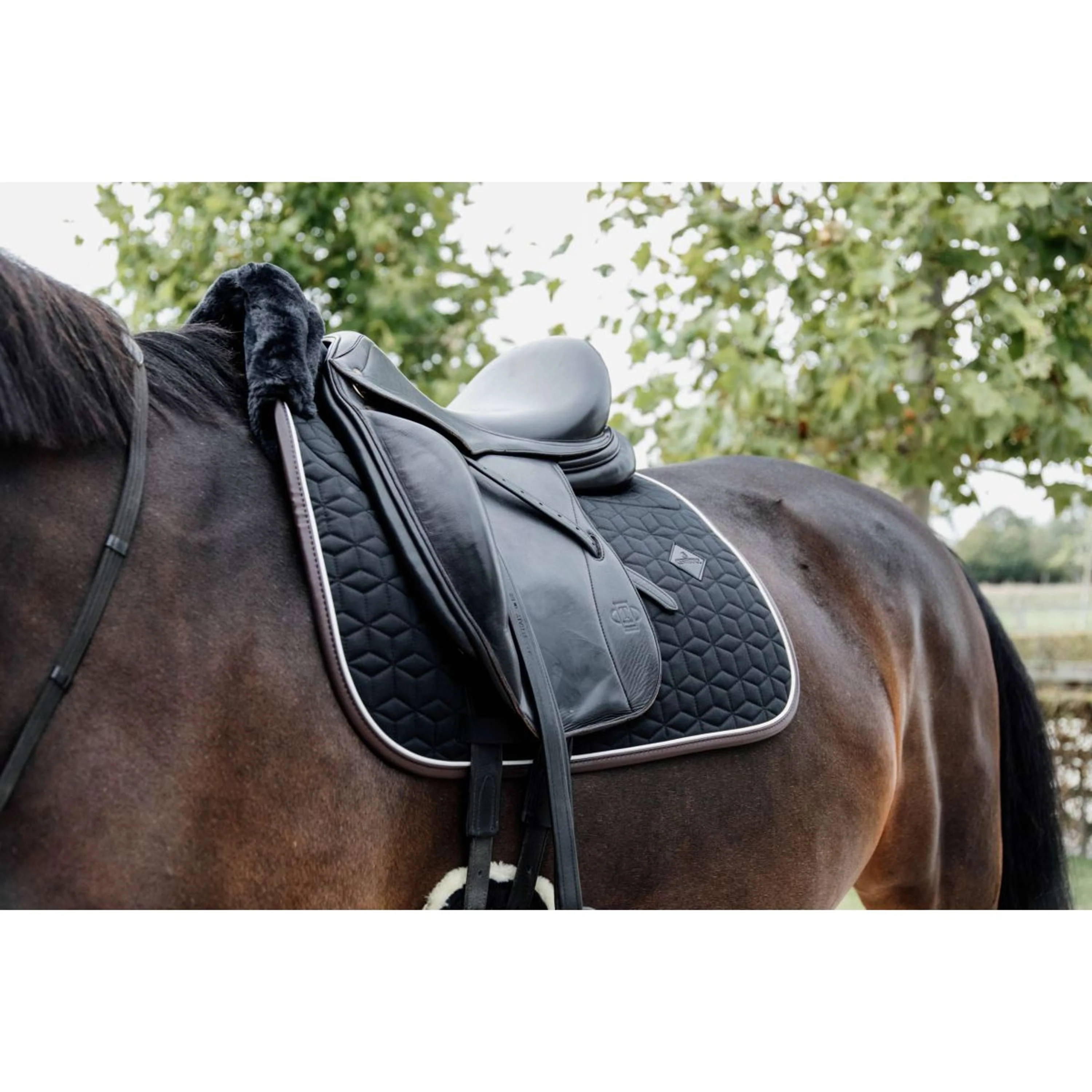 Kentucky Schabracke Skin Friendly Dressur Schwarz - Image 3