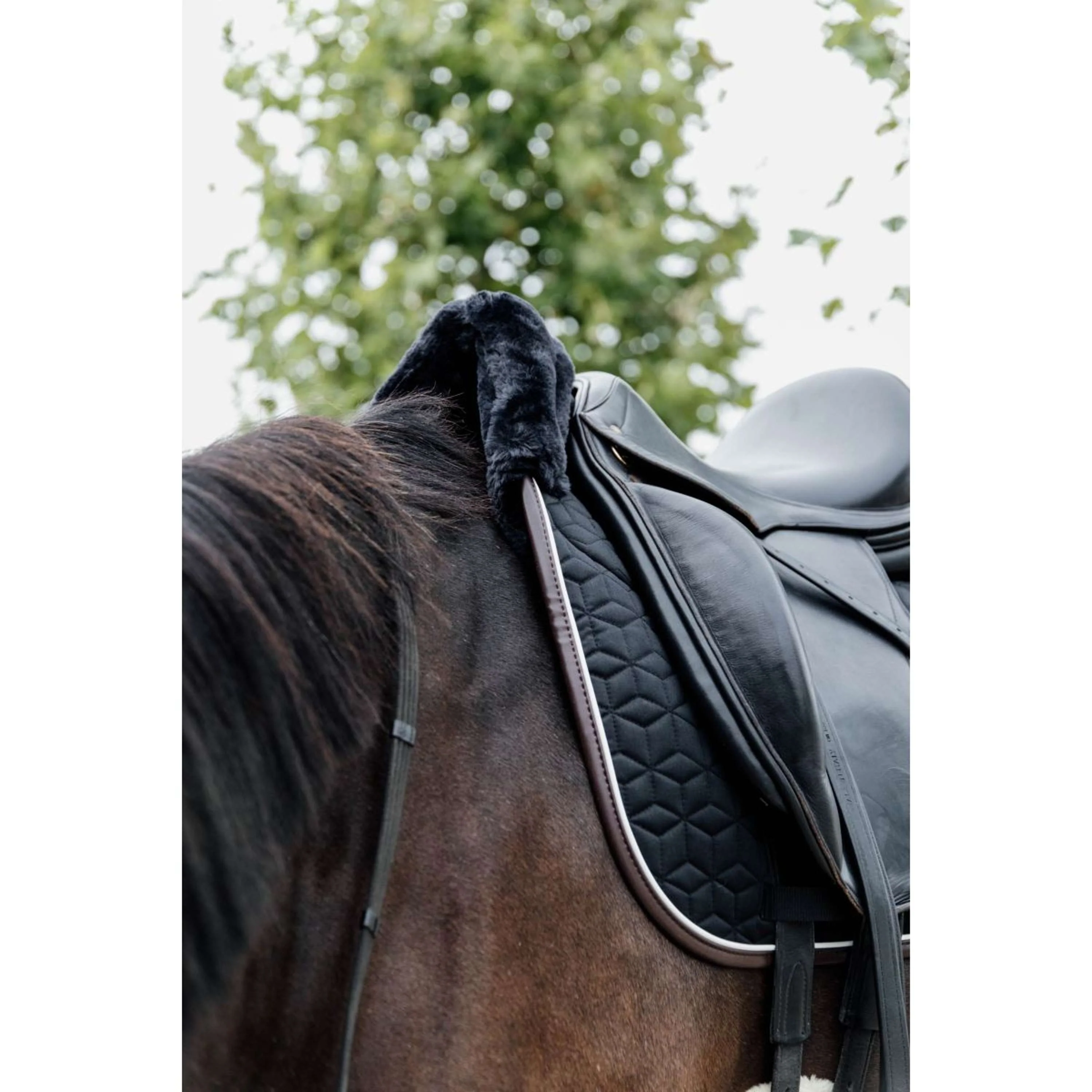 Kentucky Schabracke Skin Friendly Dressur Schwarz - Image 5