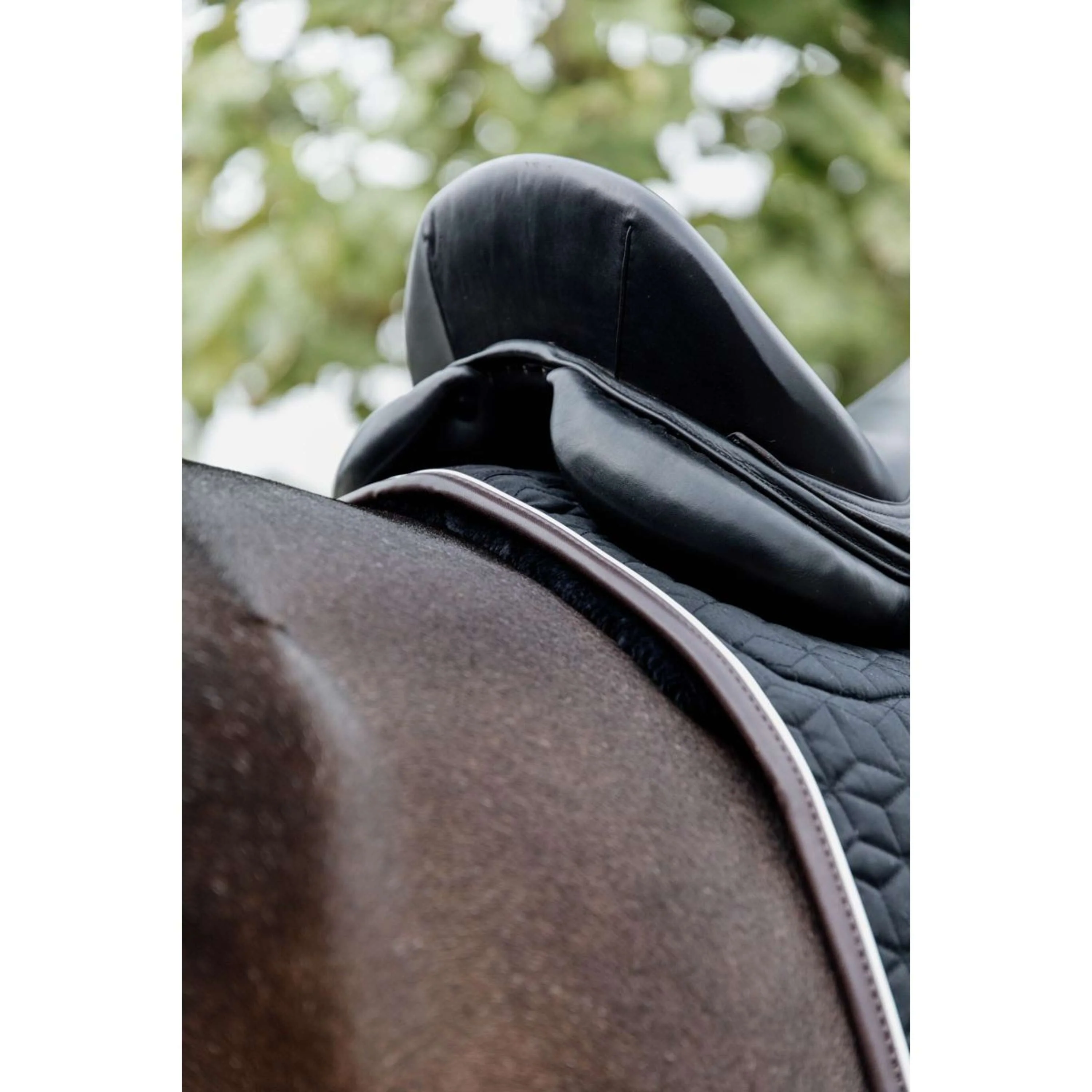 Kentucky Schabracke Skin Friendly Dressur Schwarz - Image 7