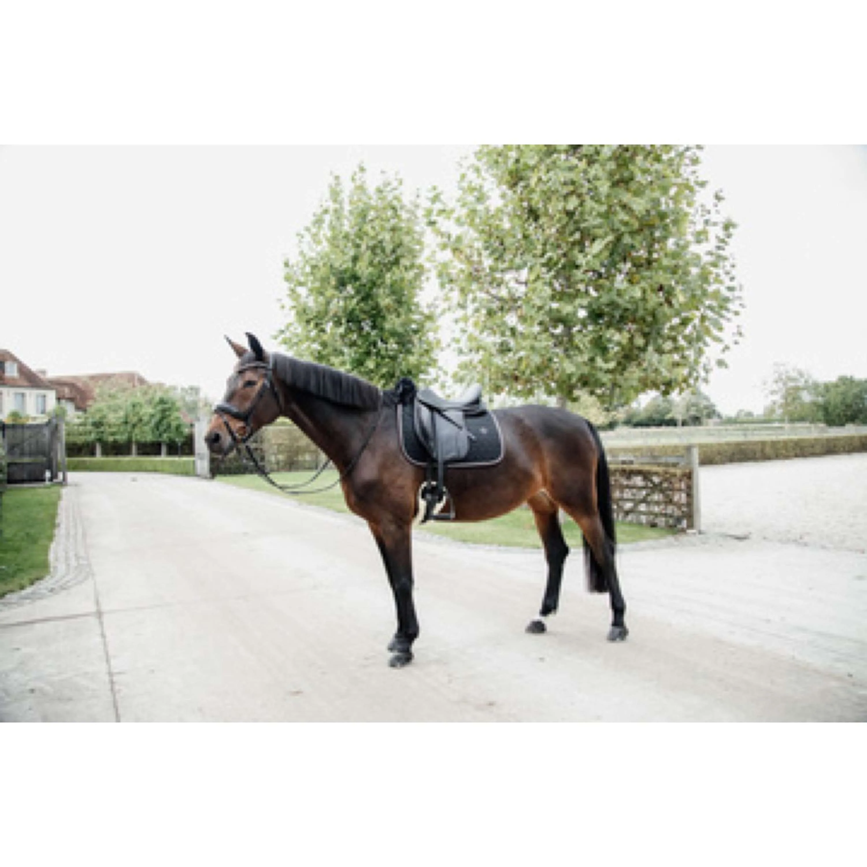 Kentucky Schabracke Skin Friendly Dressur Schwarz - Image 8