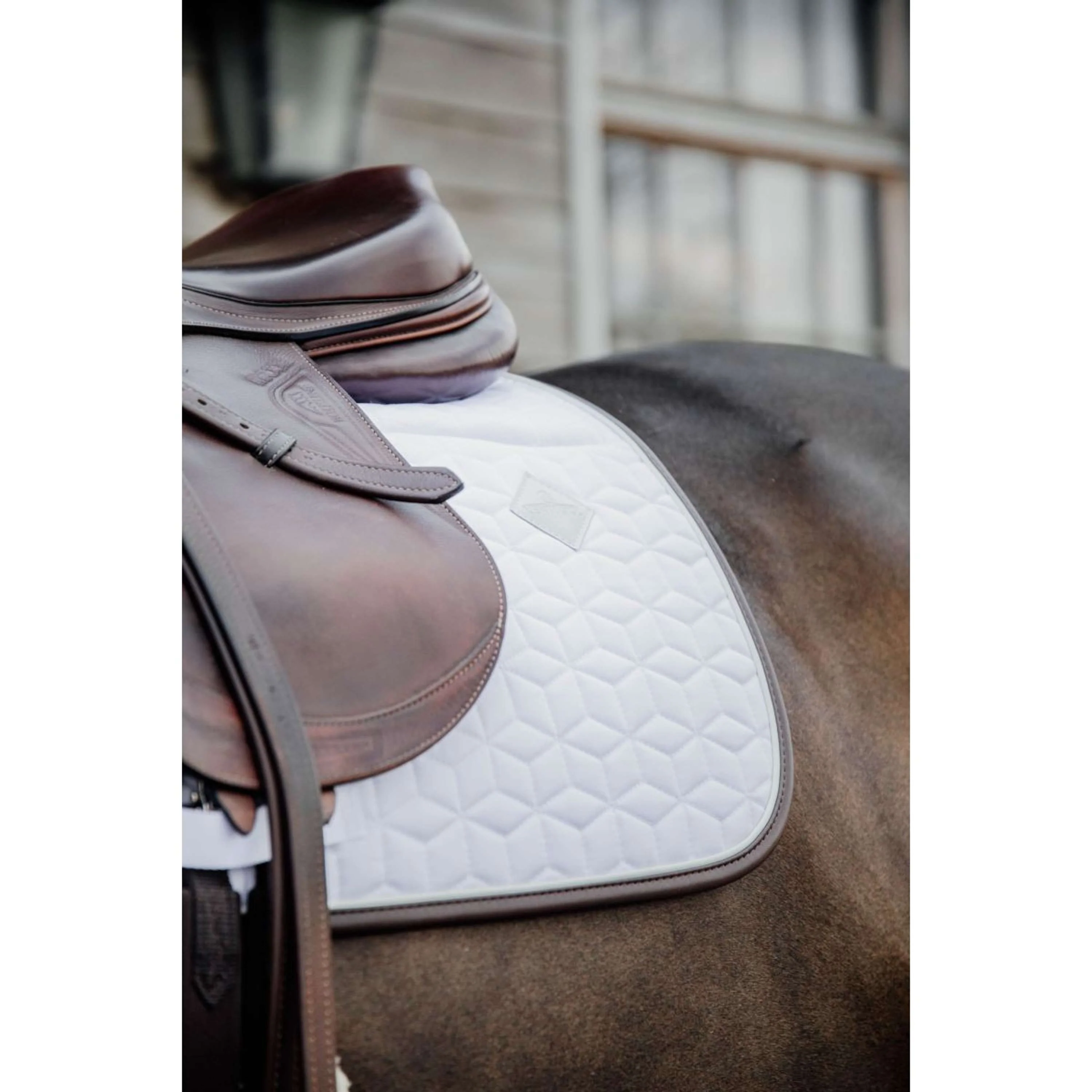Kentucky Schabracke Skin Friendly Springen Weiß - Image 9