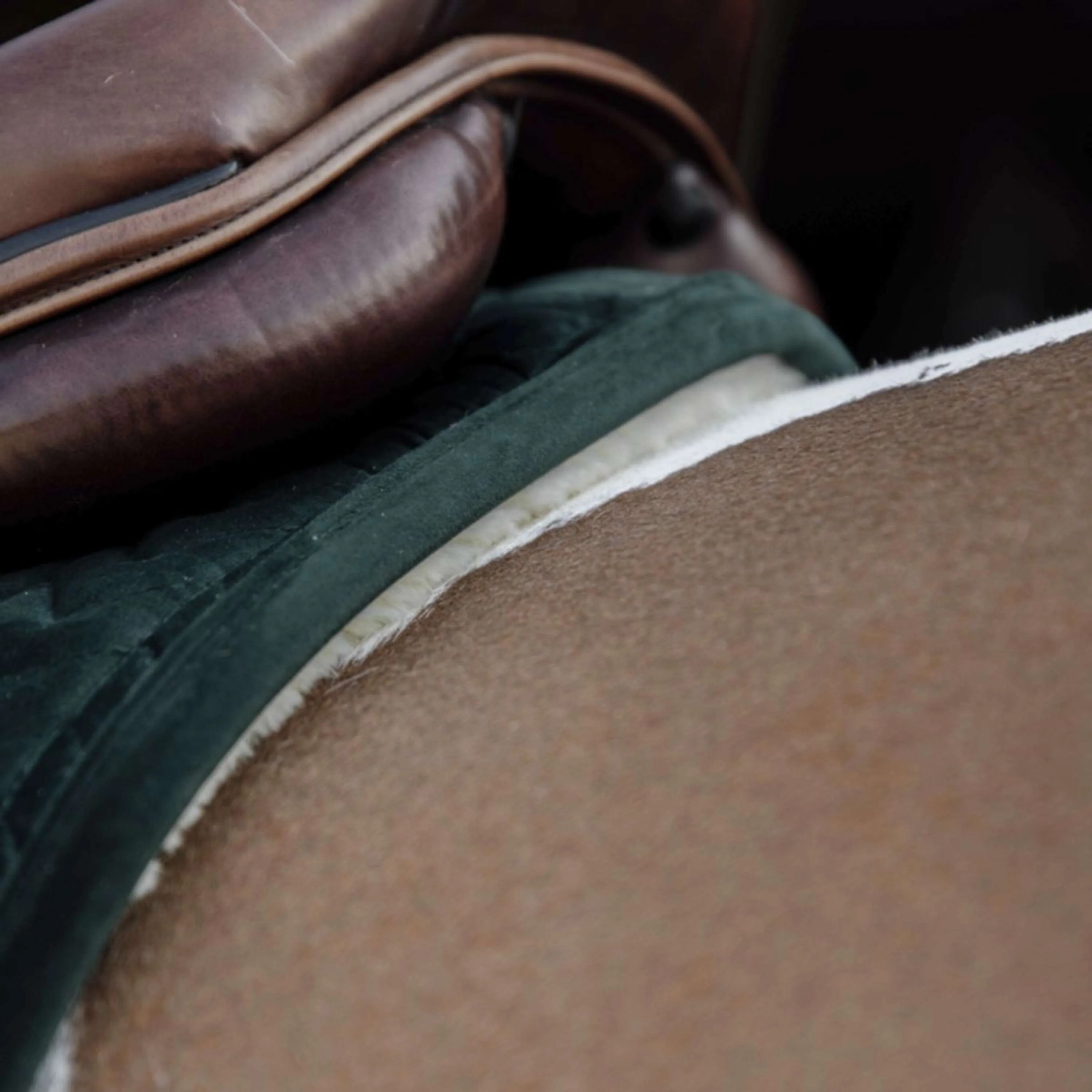 Kentucky Schabracke Skin Friendly Velvet Springen Pine Green - Image 3