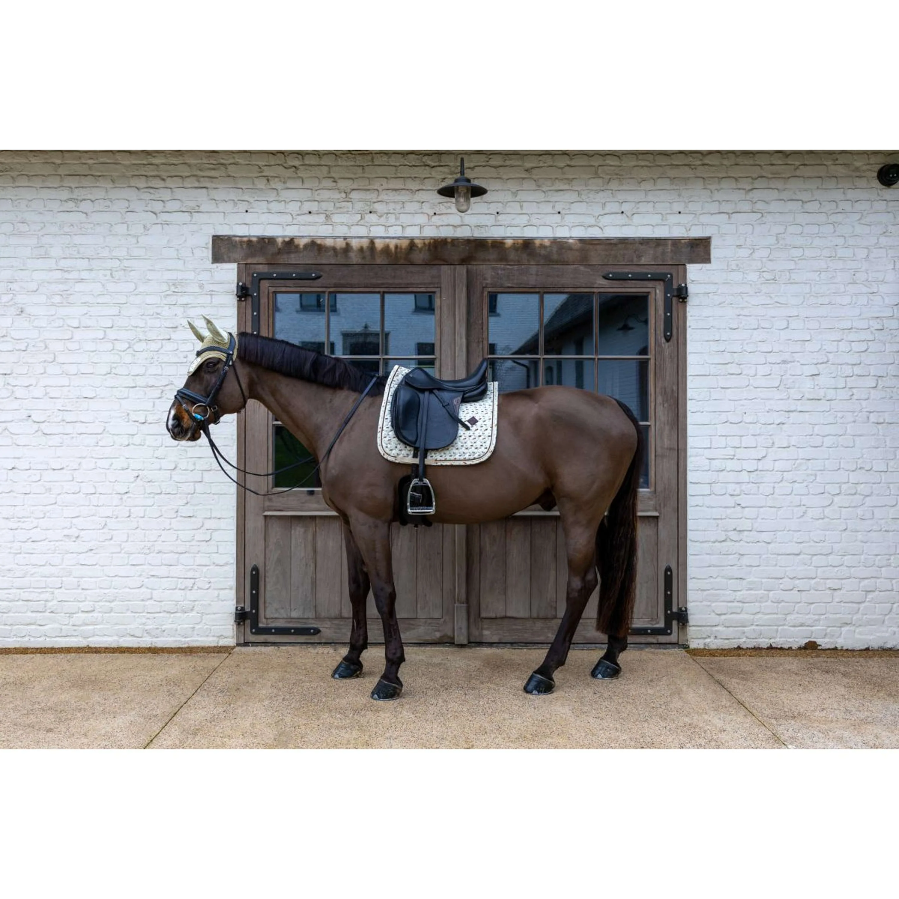 Kentucky Schabracke Velvet Horse Printing Dressur Beige - Image 3