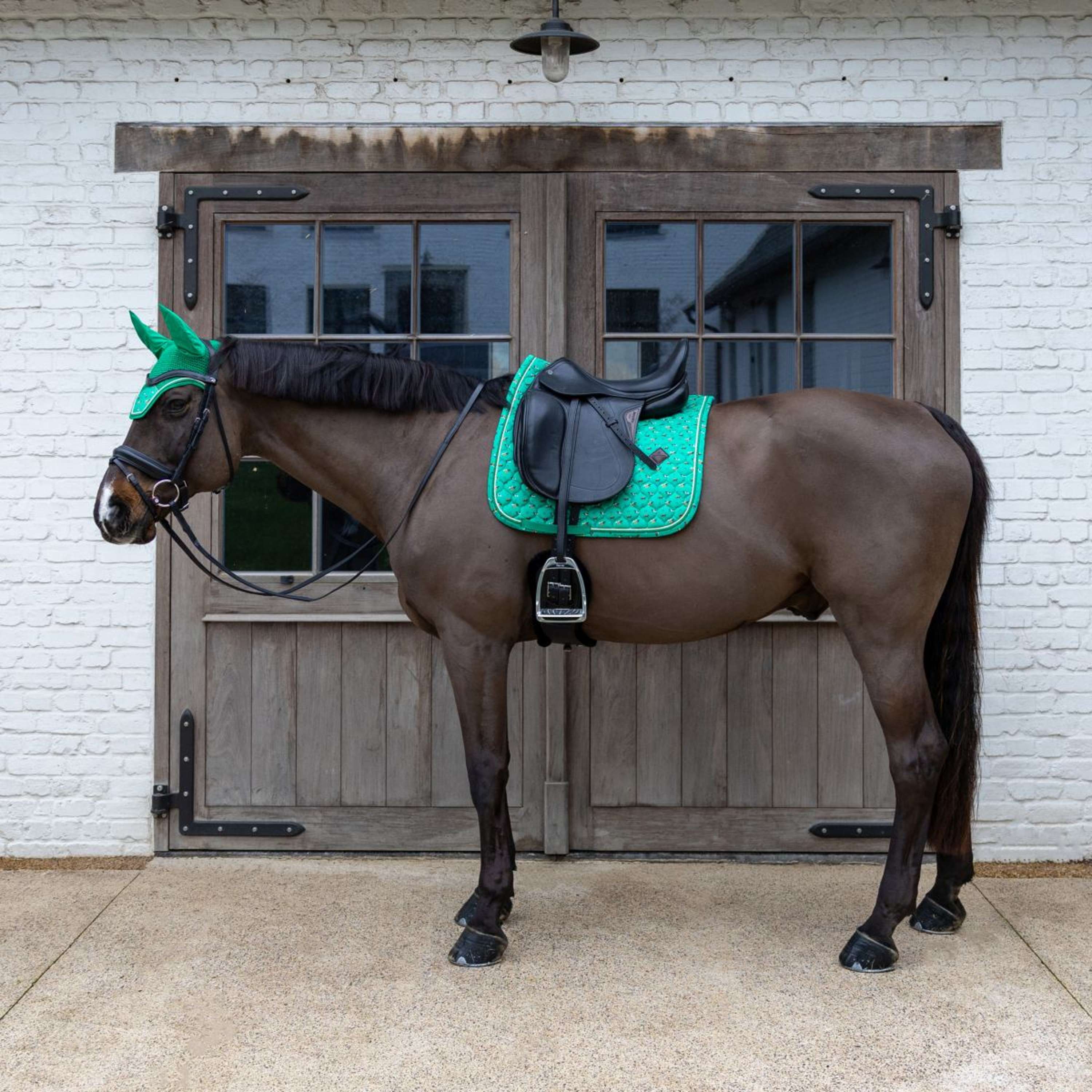 Kentucky Schabracke Velvet Horse Printing Dressur Grün - Image 4