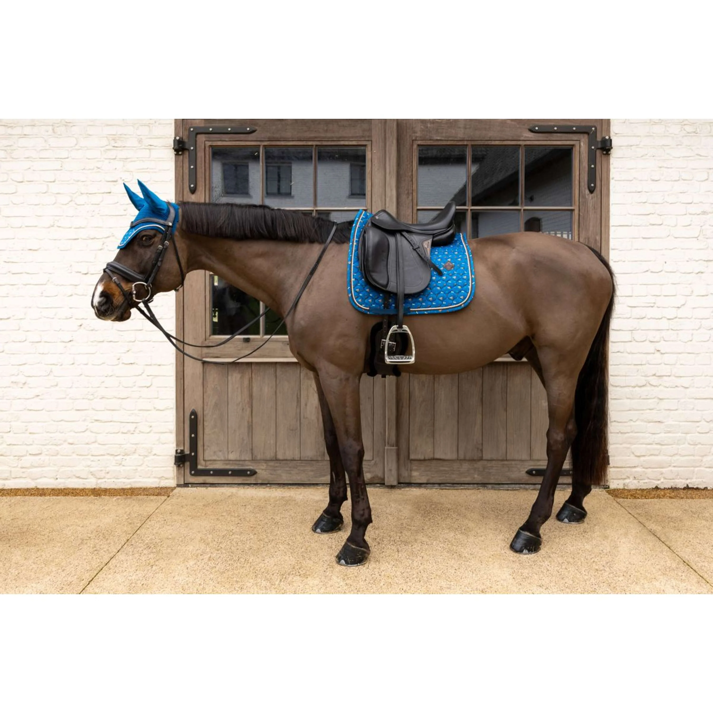 Kentucky Schabracke Velvet Horse Printing Dressur Navy - Image 3