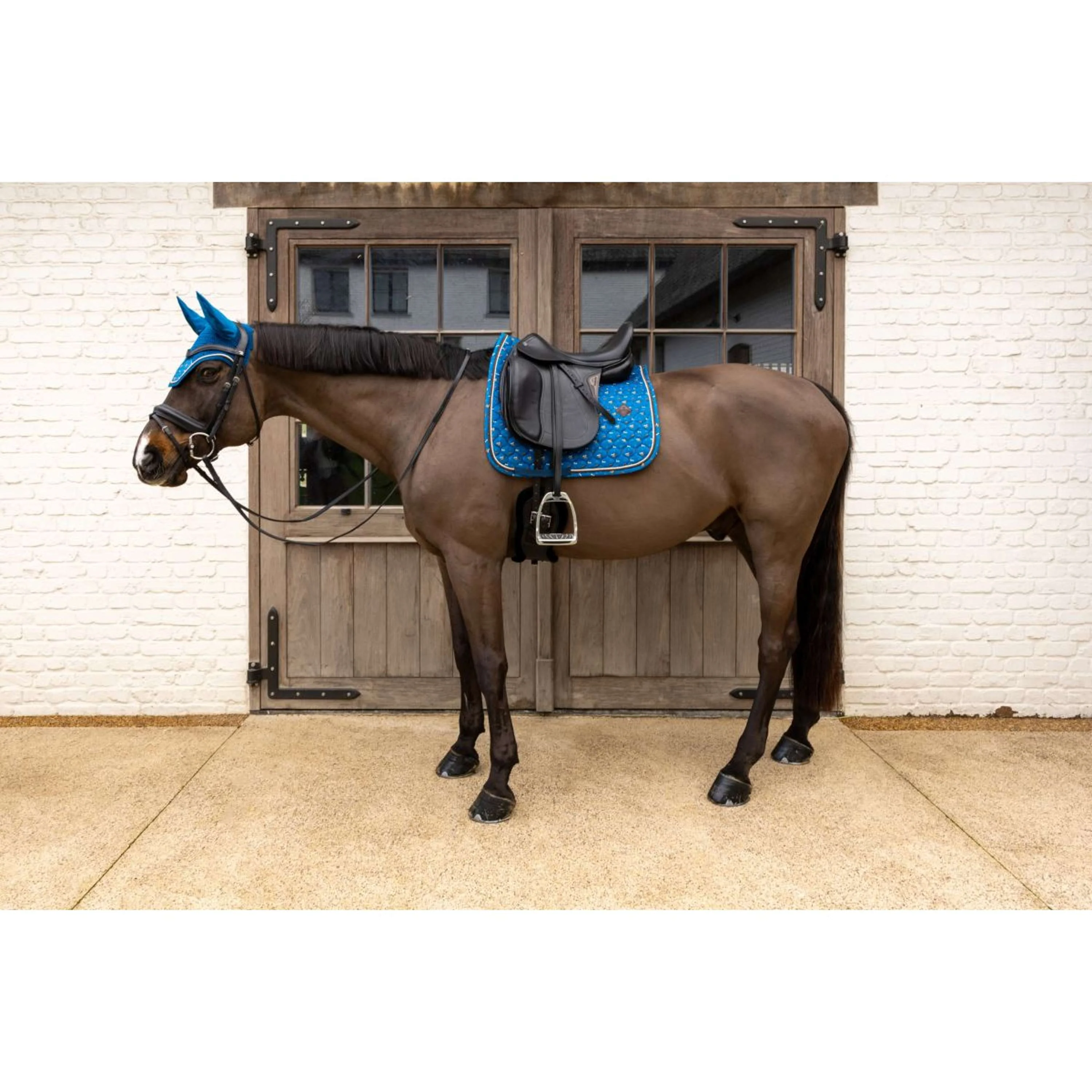 Kentucky Schabracke Velvet Horse Printing Dressur Navy - Image 4