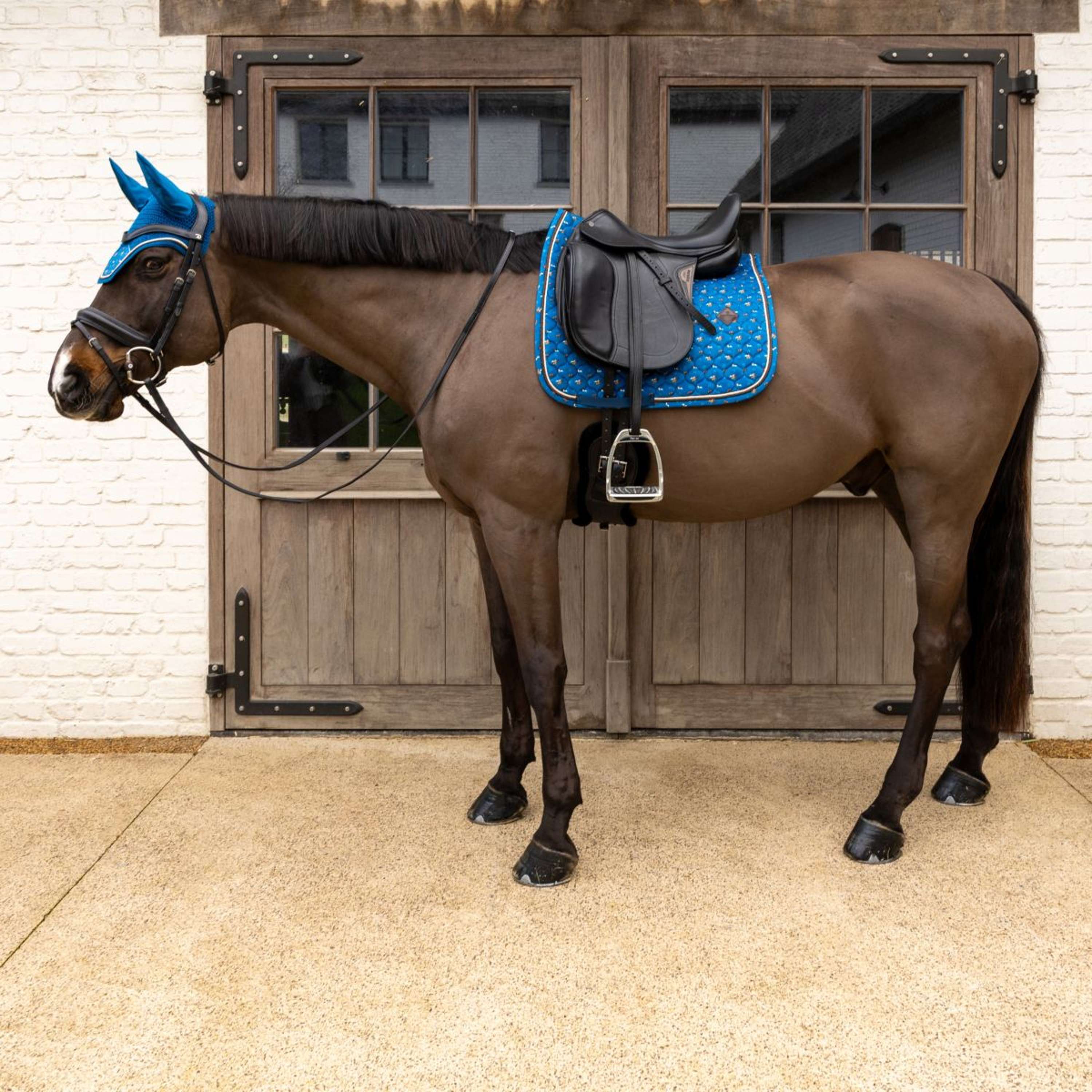 Kentucky Schabracke Velvet Horse Printing Dressur Navy - Image 5