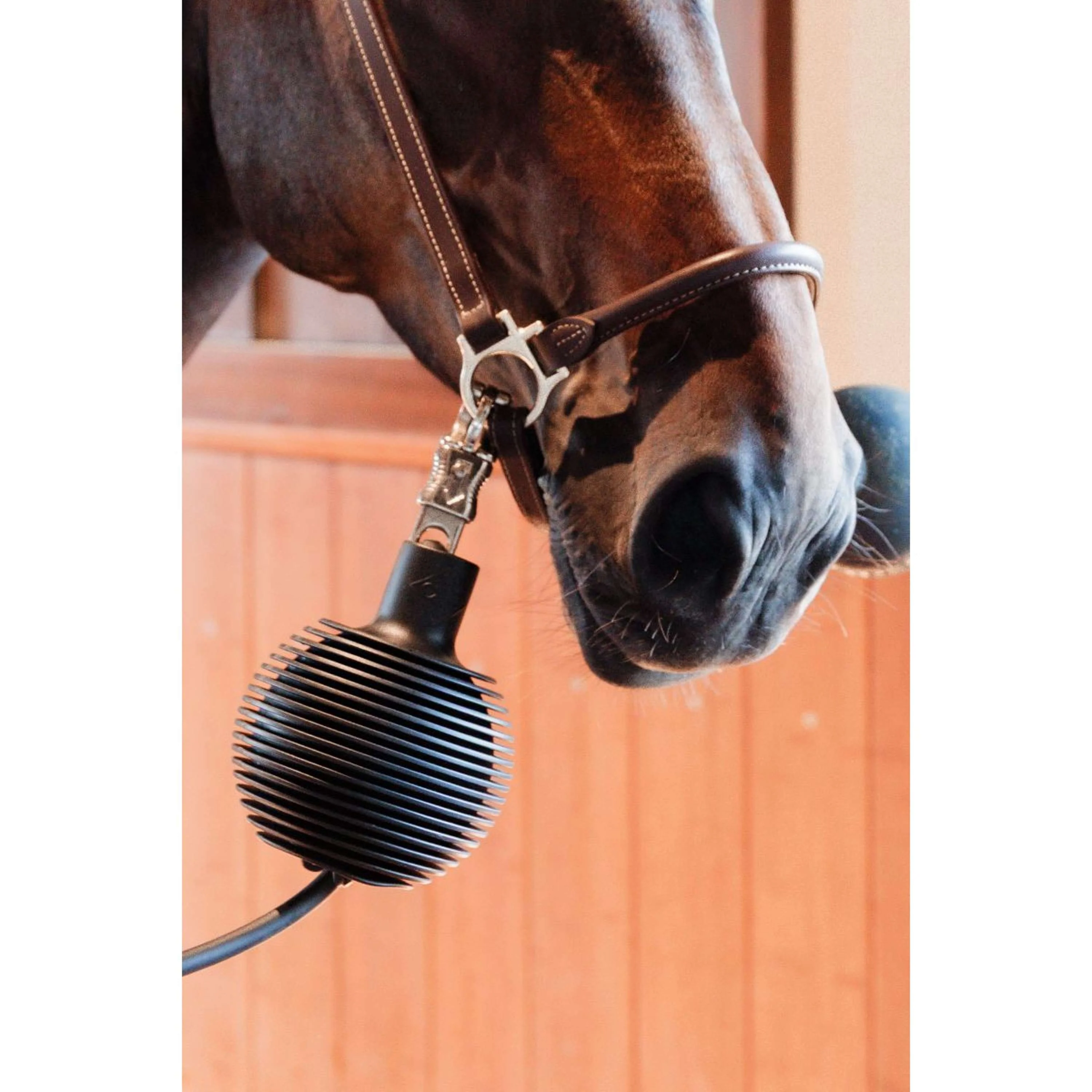 Kentucky Schutzbal Pro Rubber Schwarz - Image 6
