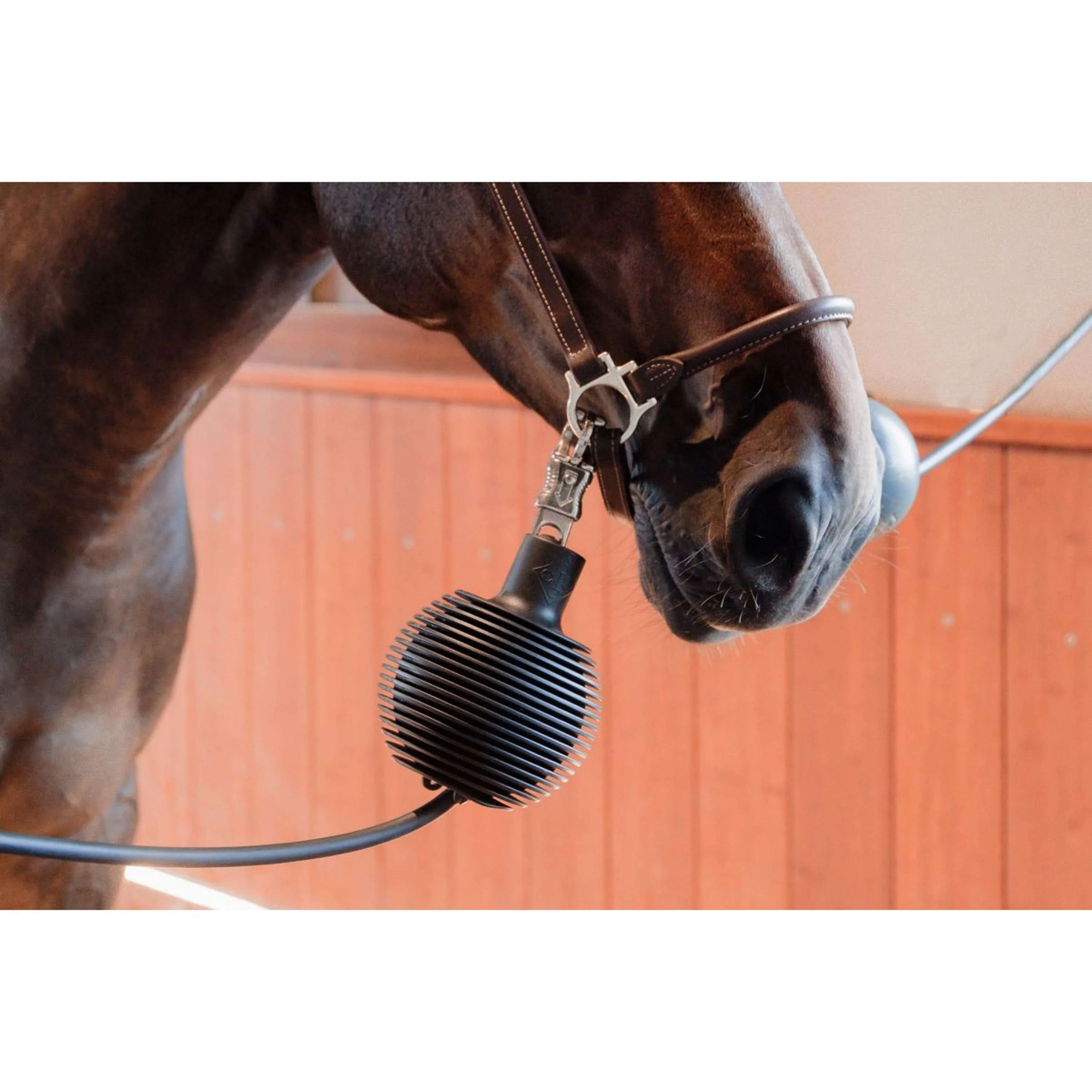 Kentucky Schutzbal Pro Rubber Schwarz - Image 7