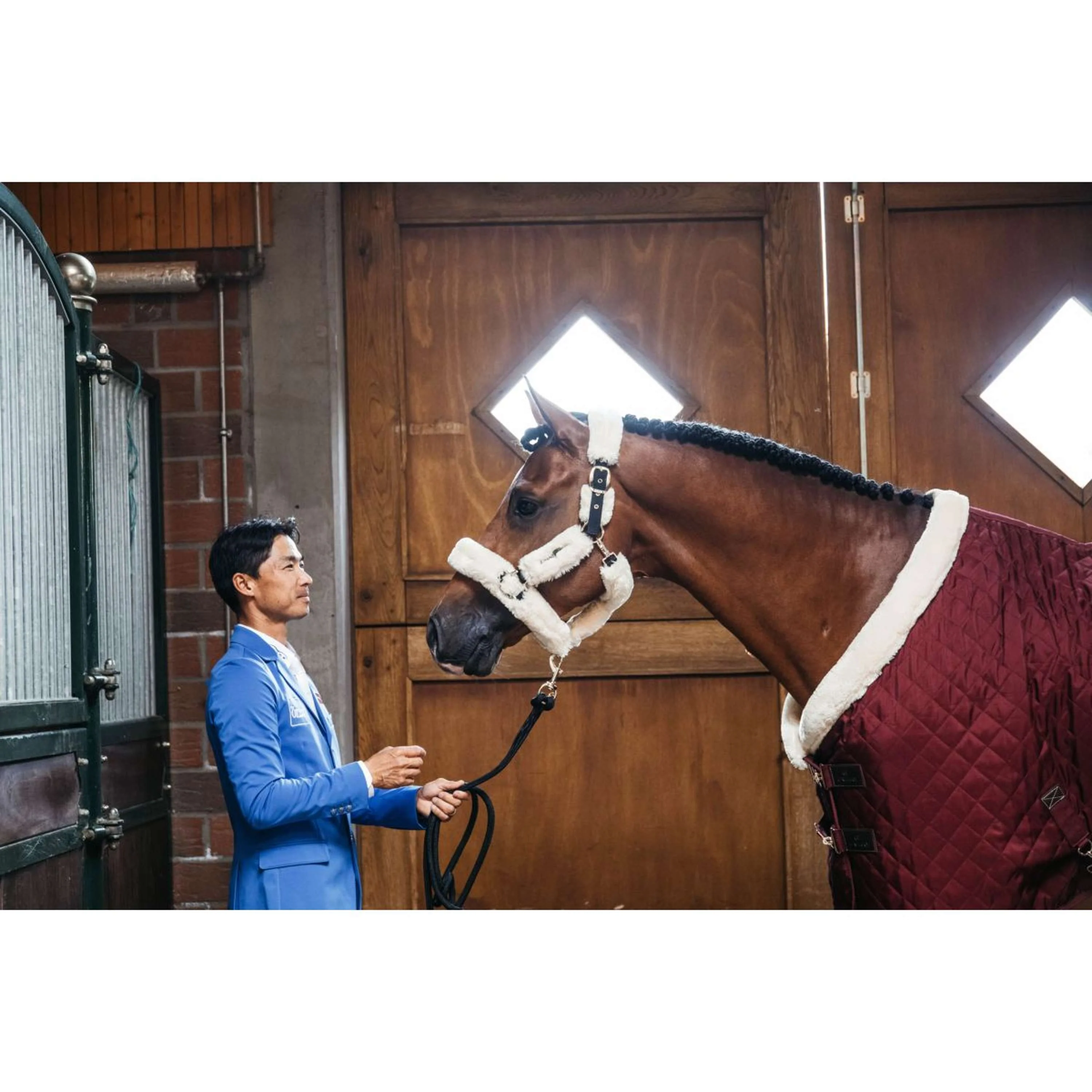 Kentucky Showdecke 160g Bordeaux - Image 6
