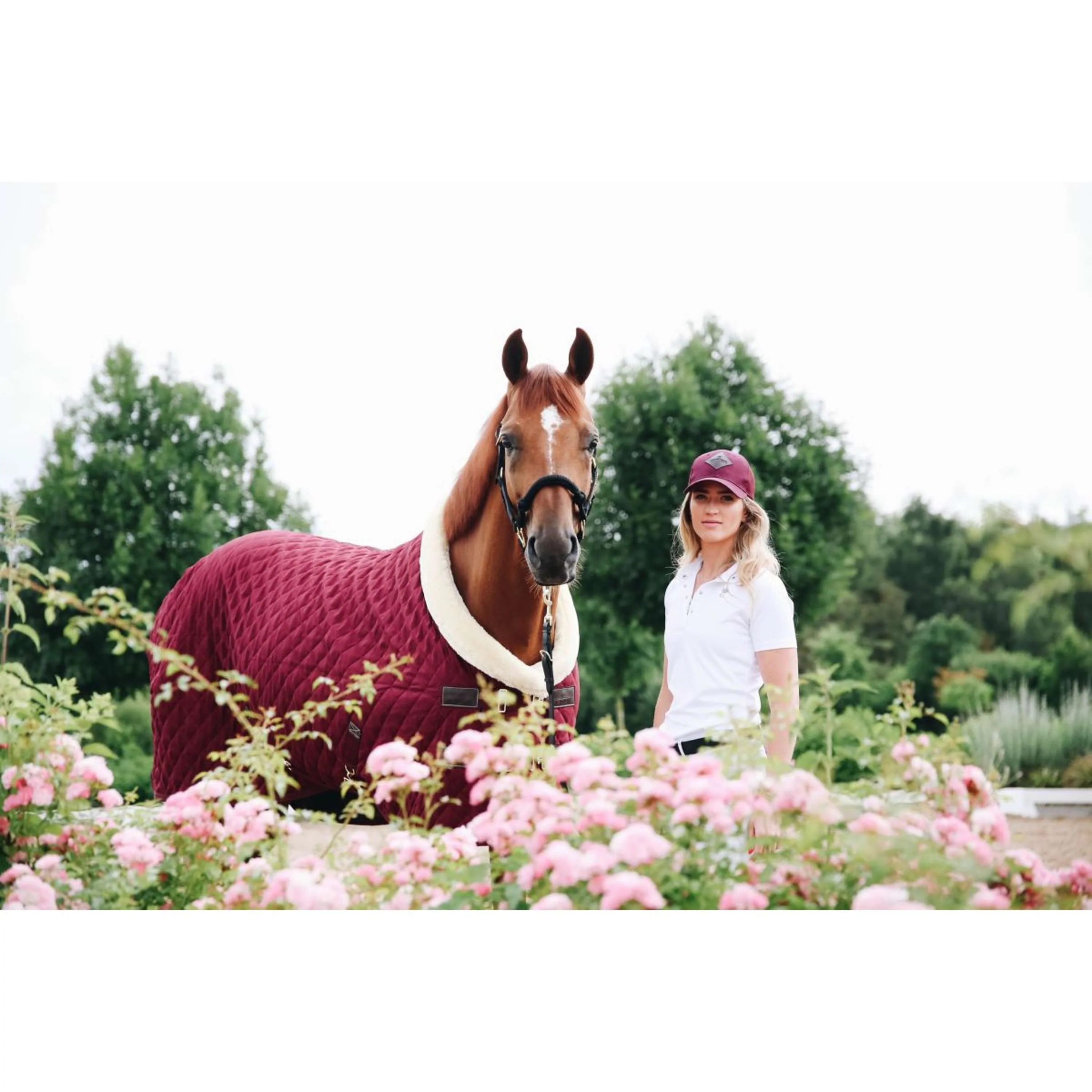 Kentucky Showdecke 160g Bordeaux - Image 8