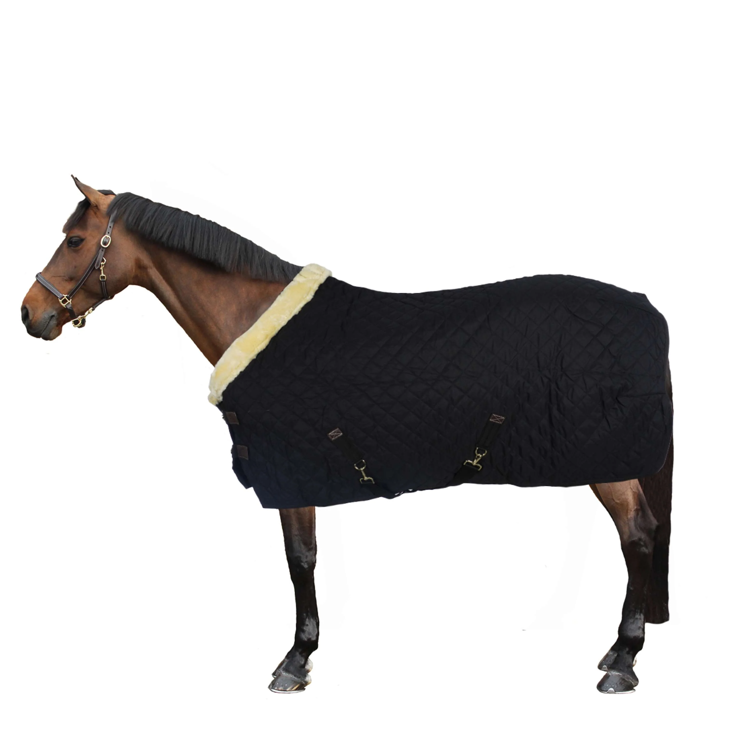 Kentucky Showdecke 160g Schwarz/Natural - Image 3