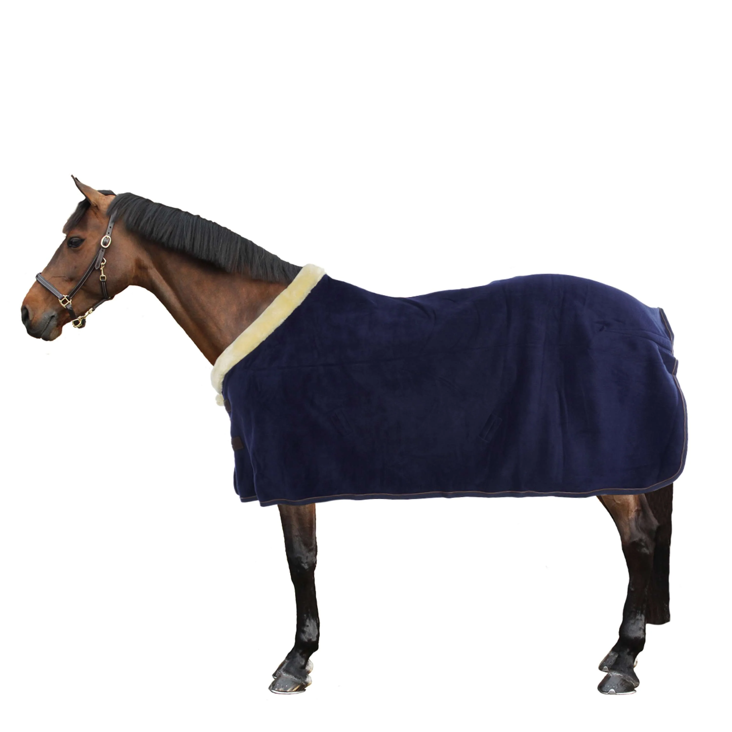Kentucky Abschwitzdecke Show Fleece Heavy Navy - Image 4