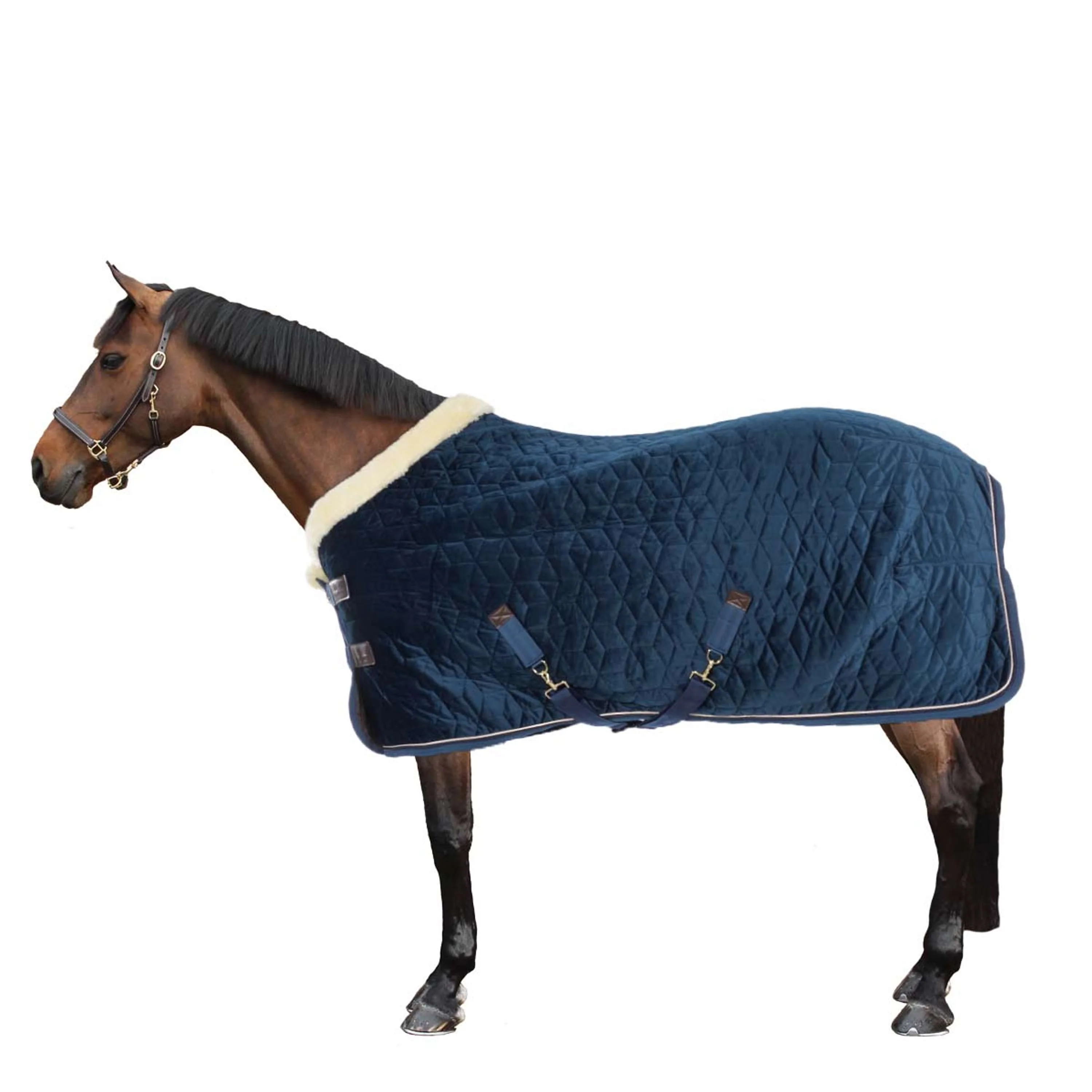 Kentucky Showdecke Velvet 160g Navy - Image 4