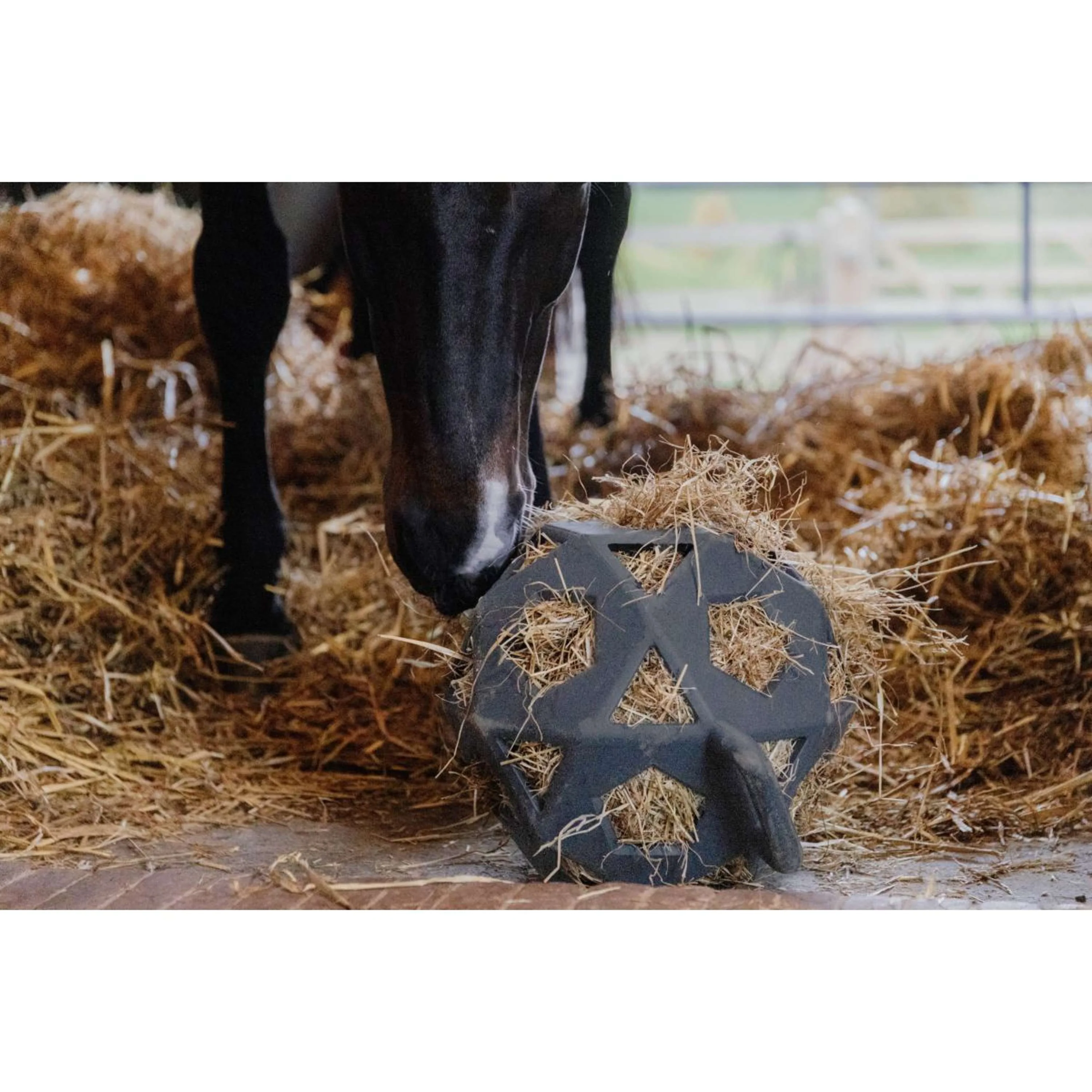 Kentucky Spielball Play & Hay Grau - Image 2