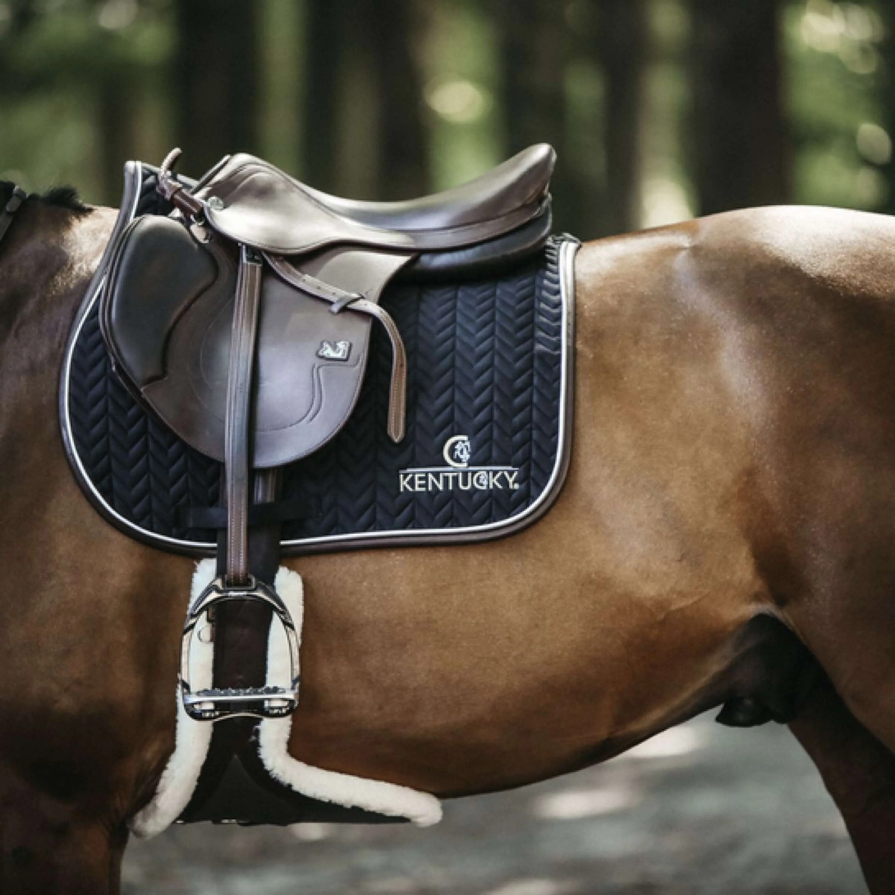 Kentucky Schabracke Springen Fishbone Leder Schwarz - Image 2