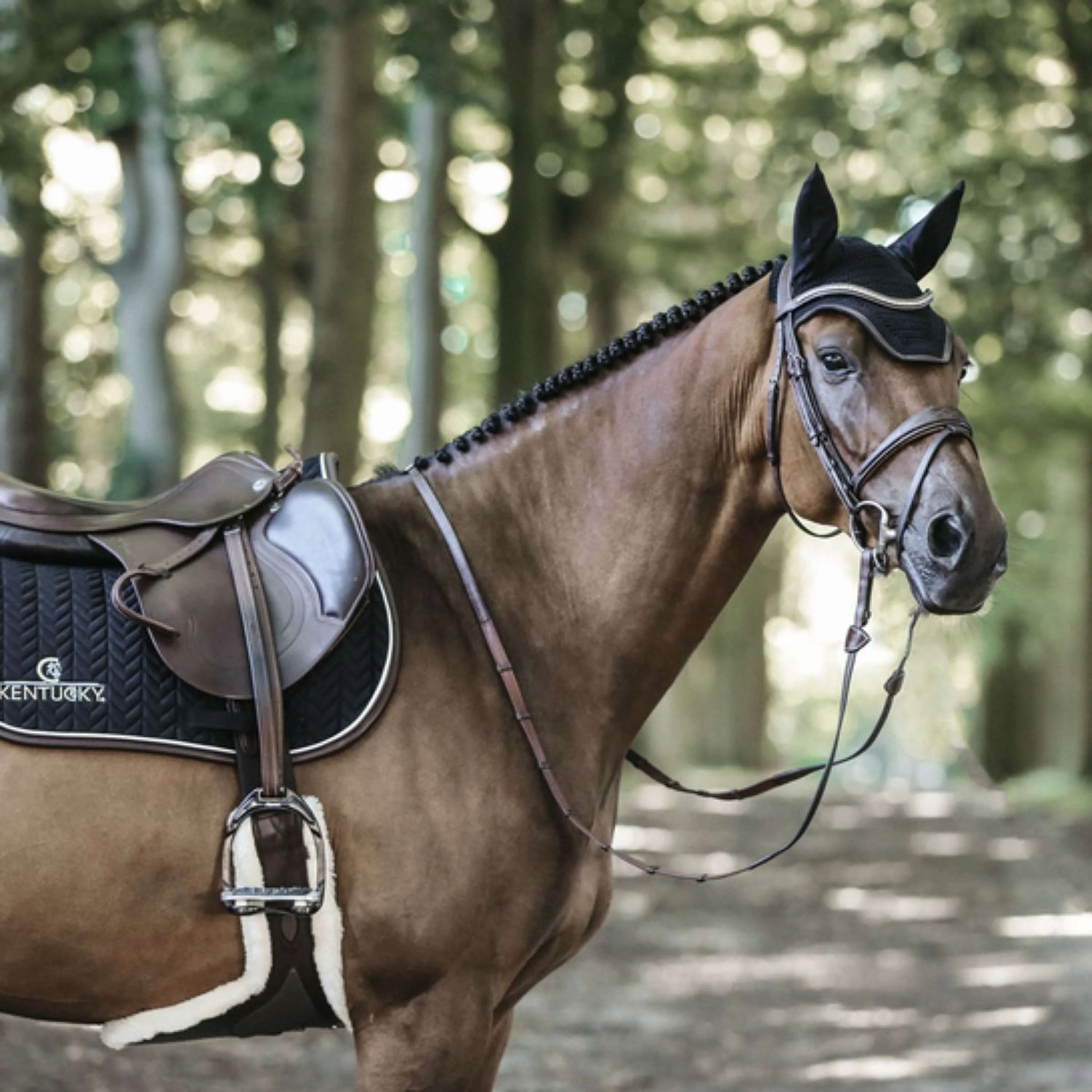 Kentucky Schabracke Springen Fishbone Leder Schwarz - Image 4