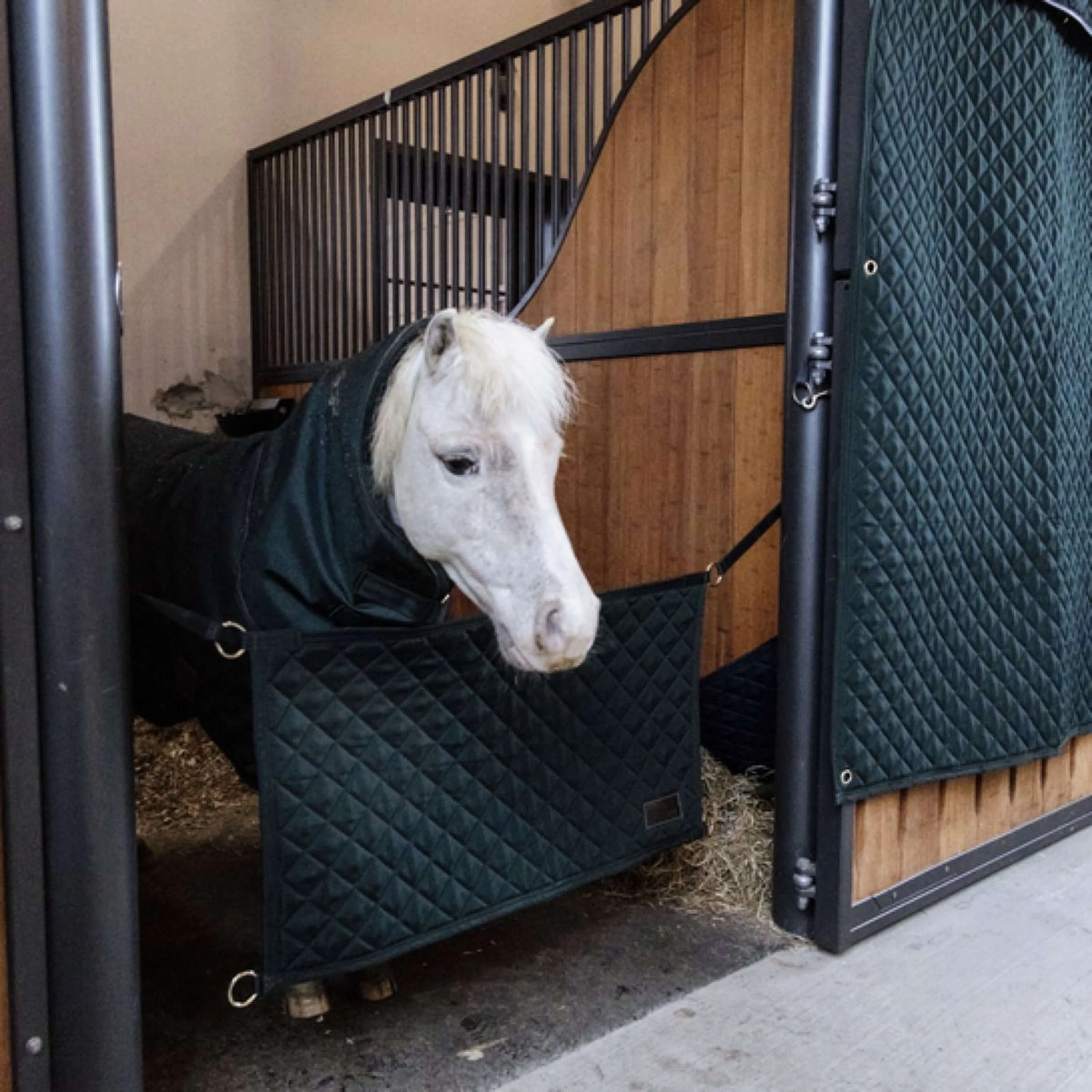 Kentucky Stable Guard Dunkelgrün - Image 4