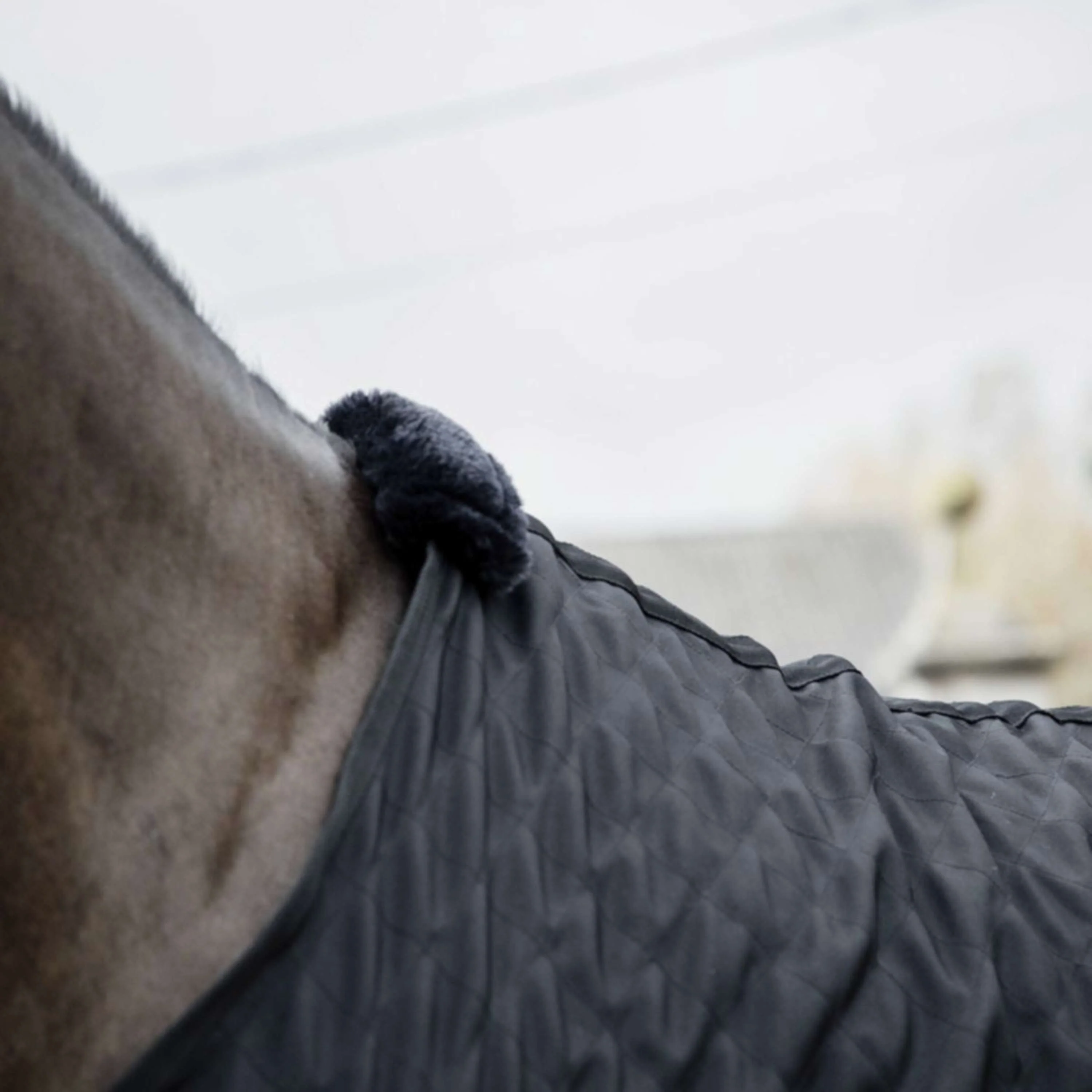 Kentucky Stalldecke 0g Schwarz - Image 3