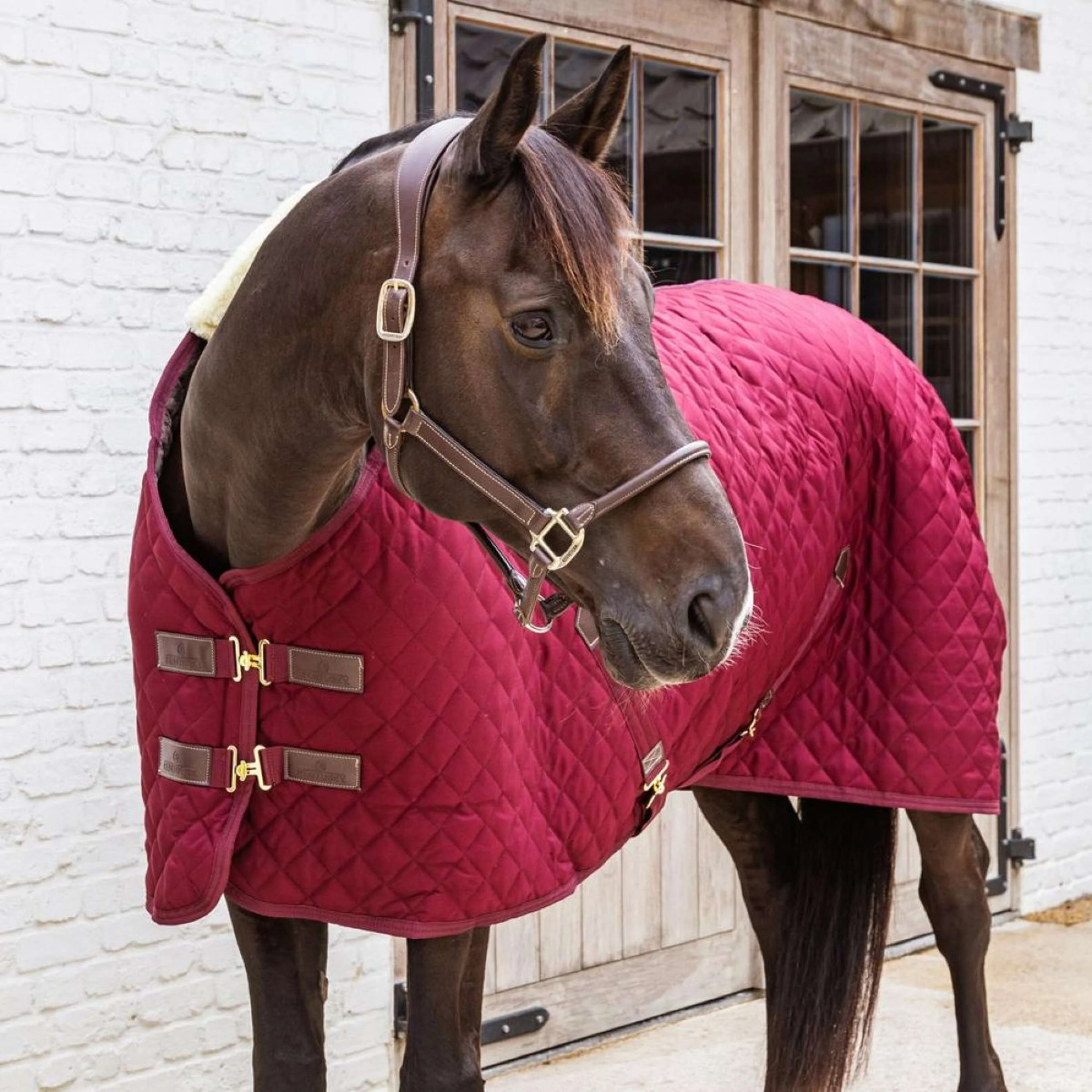 Kentucky Stalldecke 400g Bordeaux - Image 2