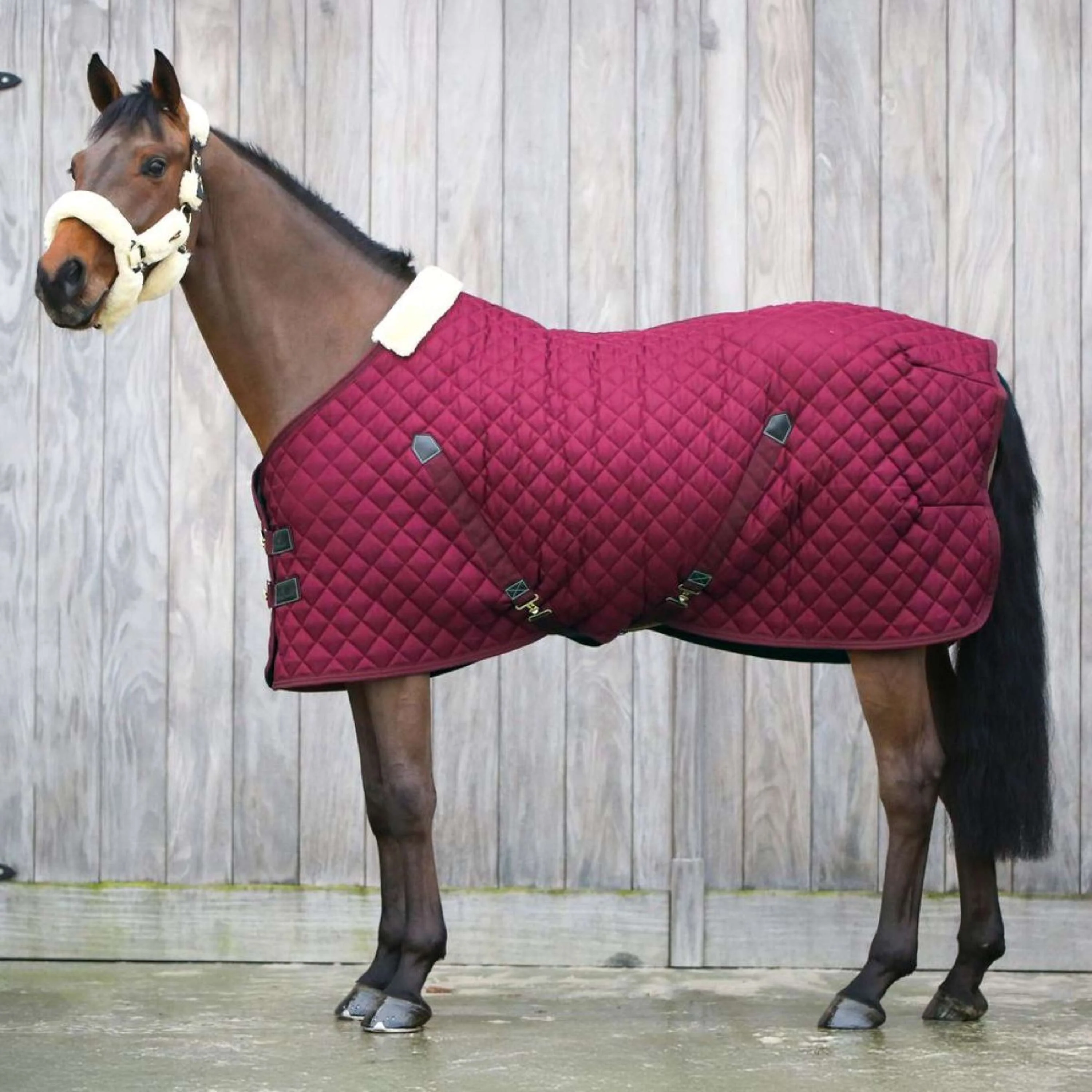 Kentucky Stalldecke 400g Bordeaux - Image 3
