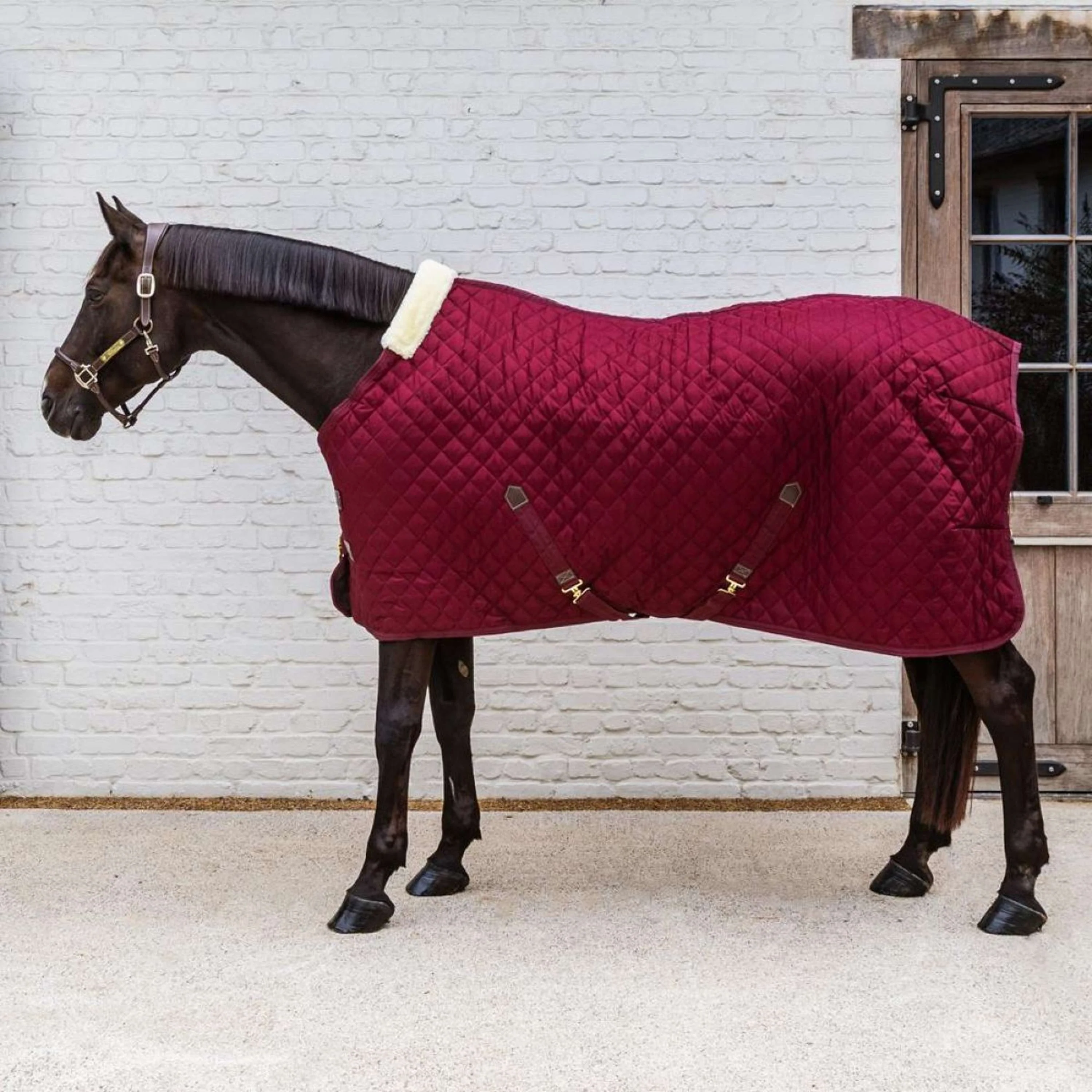 Kentucky Stalldecke 400g Bordeaux - Image 8