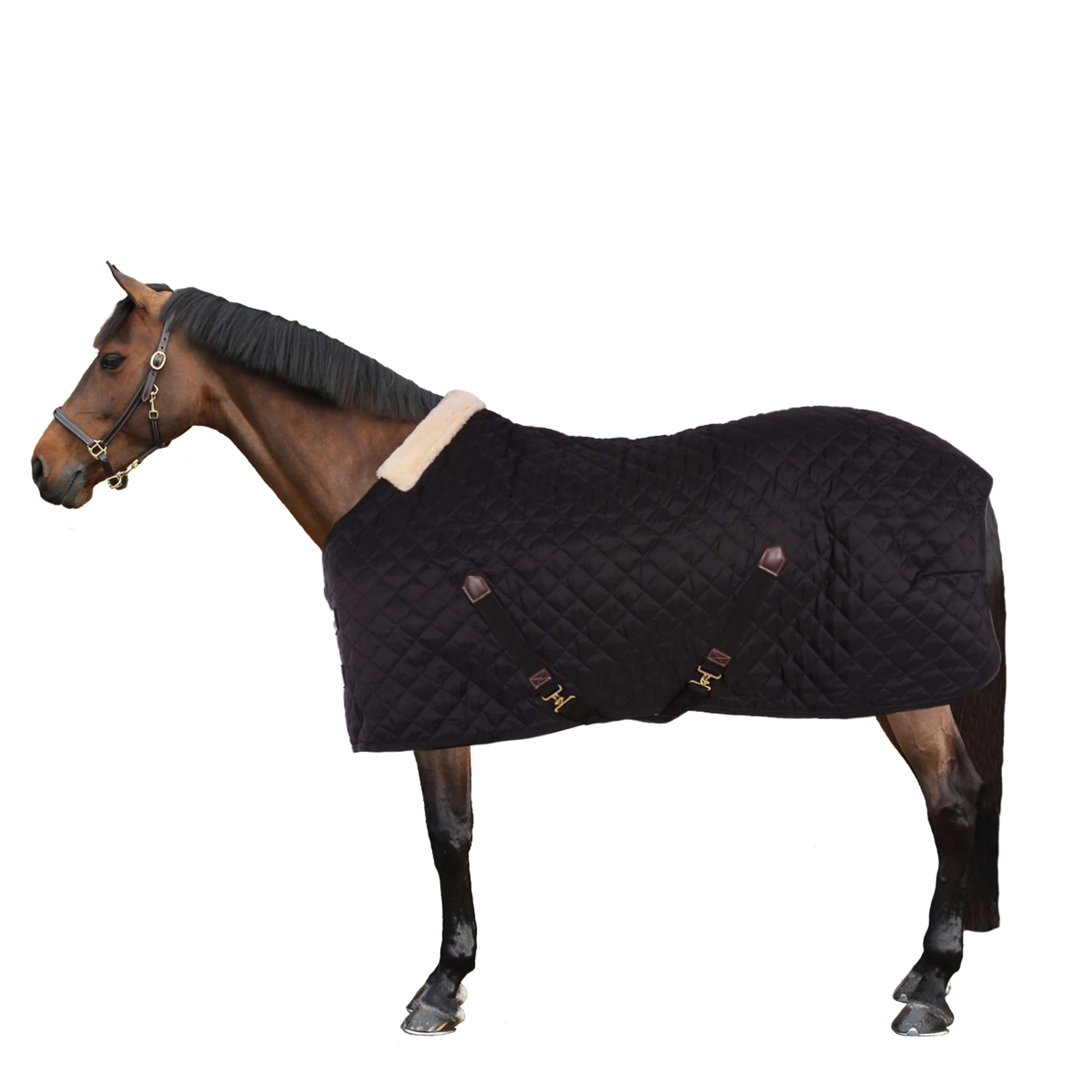 Kentucky Stalldecke 400g Schwarz - Image 2