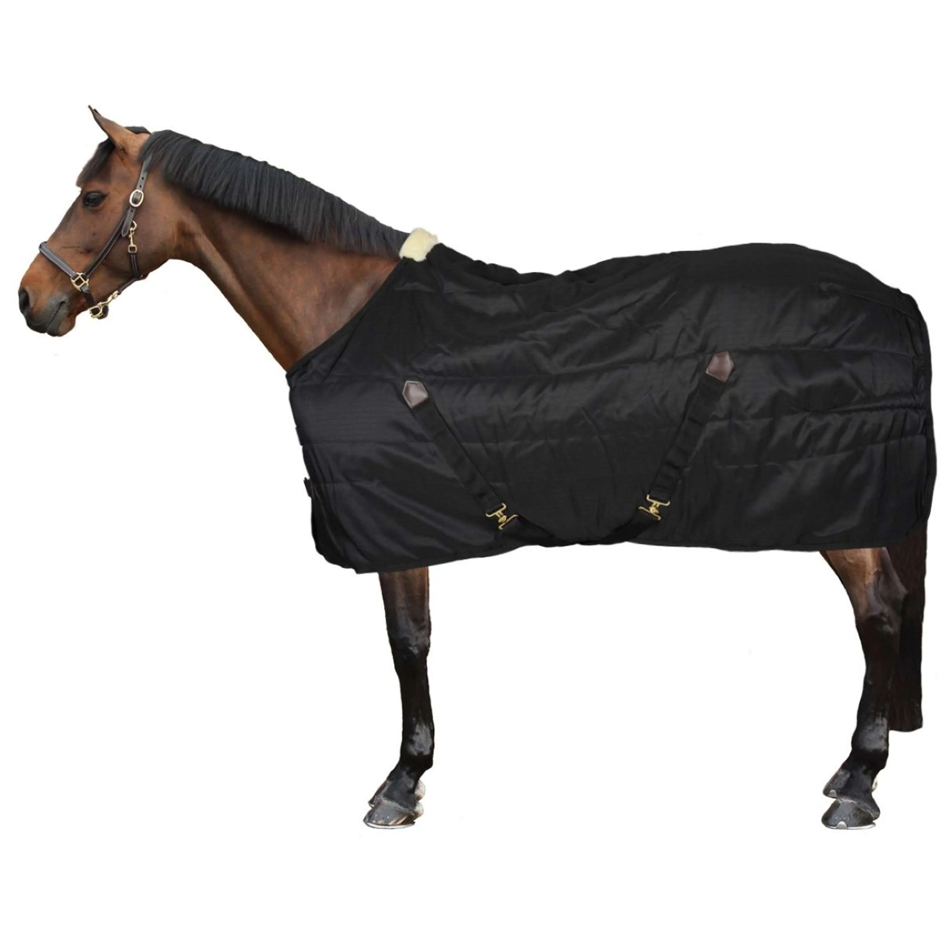 Kentucky Stalldecke Classic 300g Schwarz - Image 6