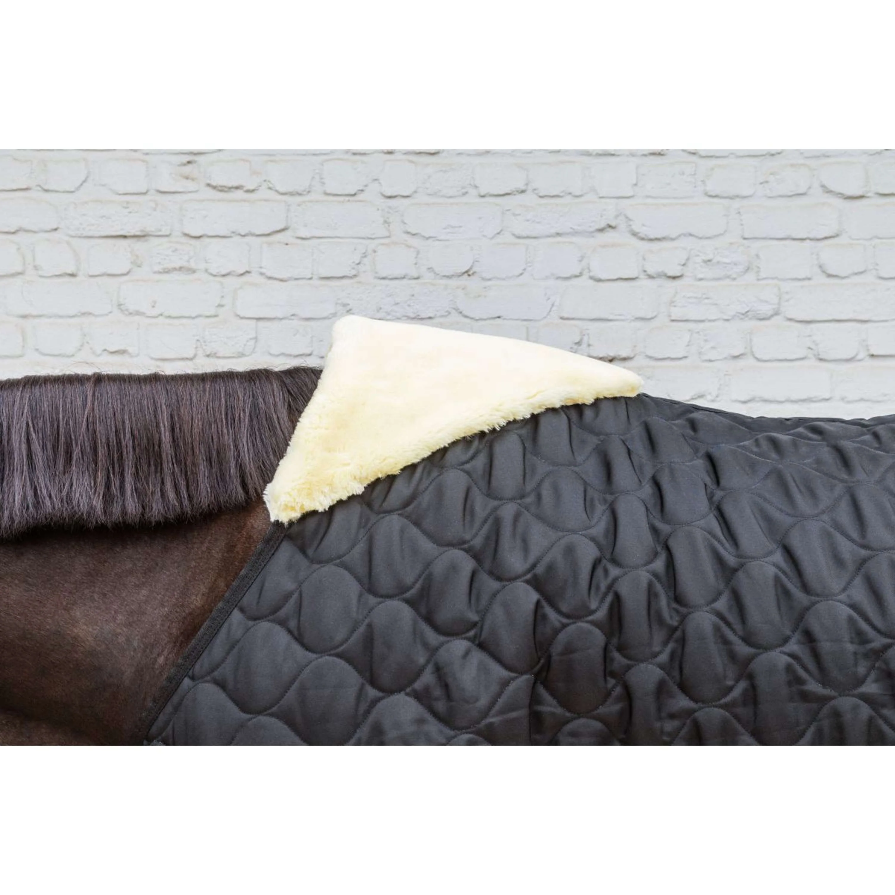Kentucky Stalldecke Comfort 100g Schwarz - Image 5