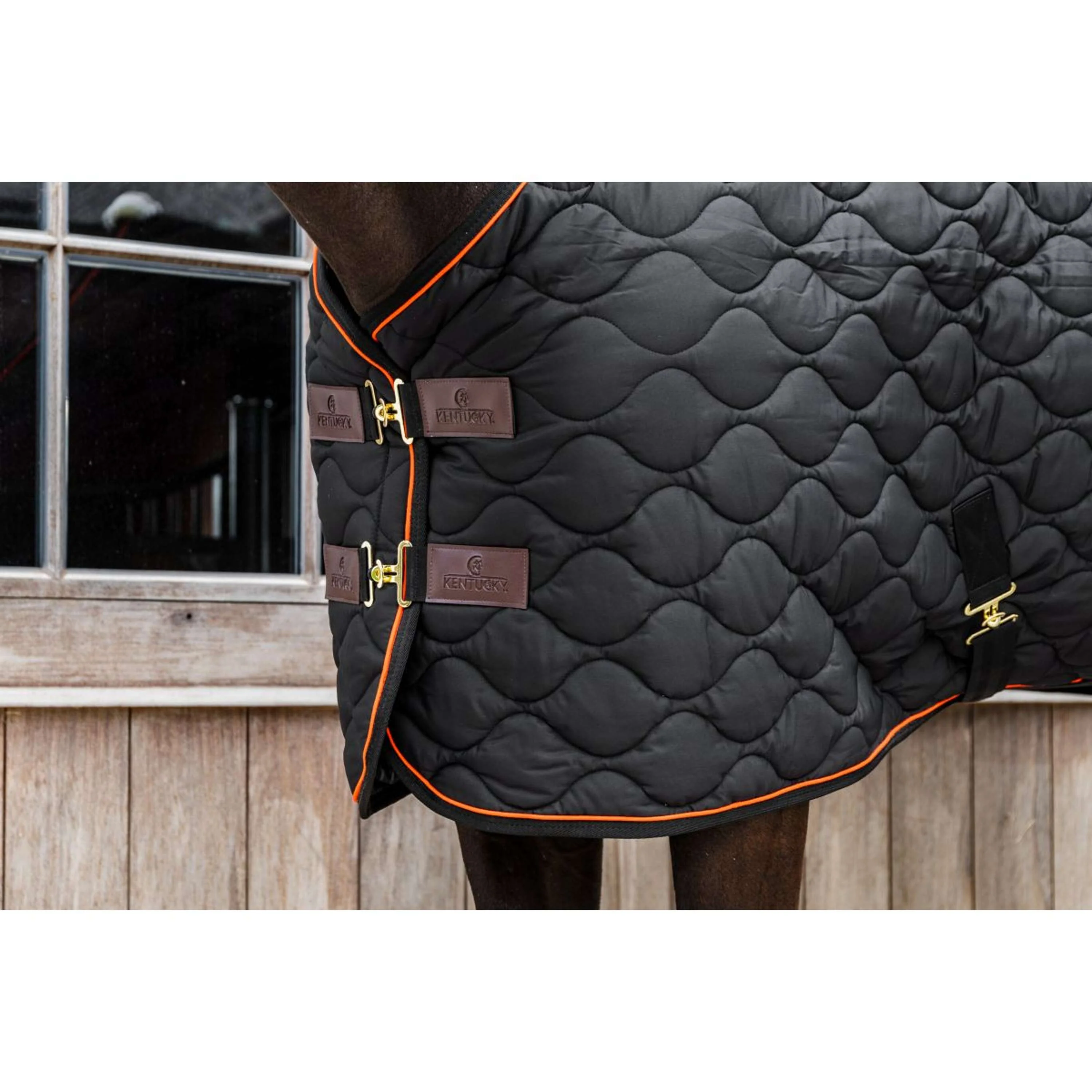 Kentucky Stalldecke Wave Schwarz - Image 8