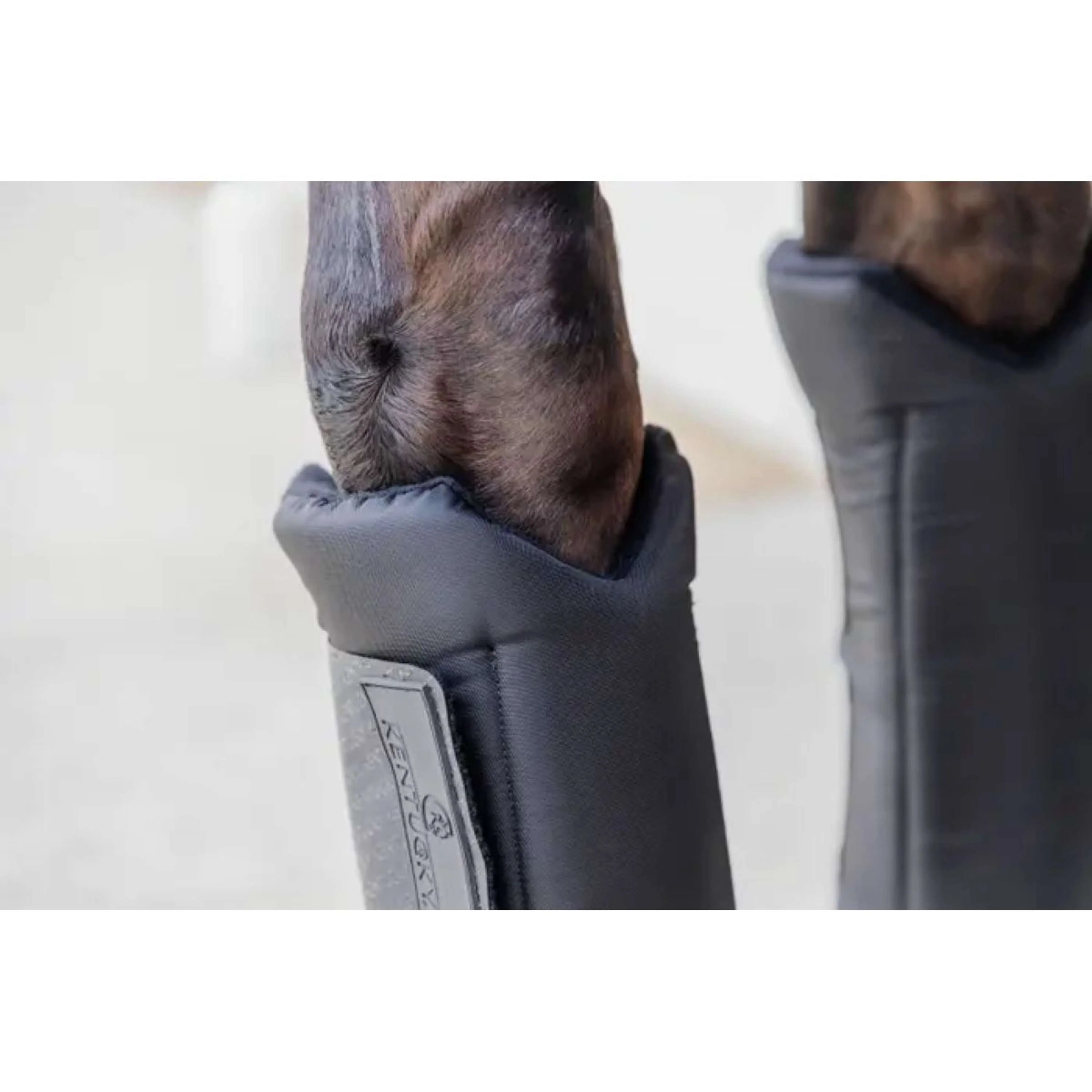 Kentucky Stallgamaschen PROtect Classic Für Schwarz - Image 4