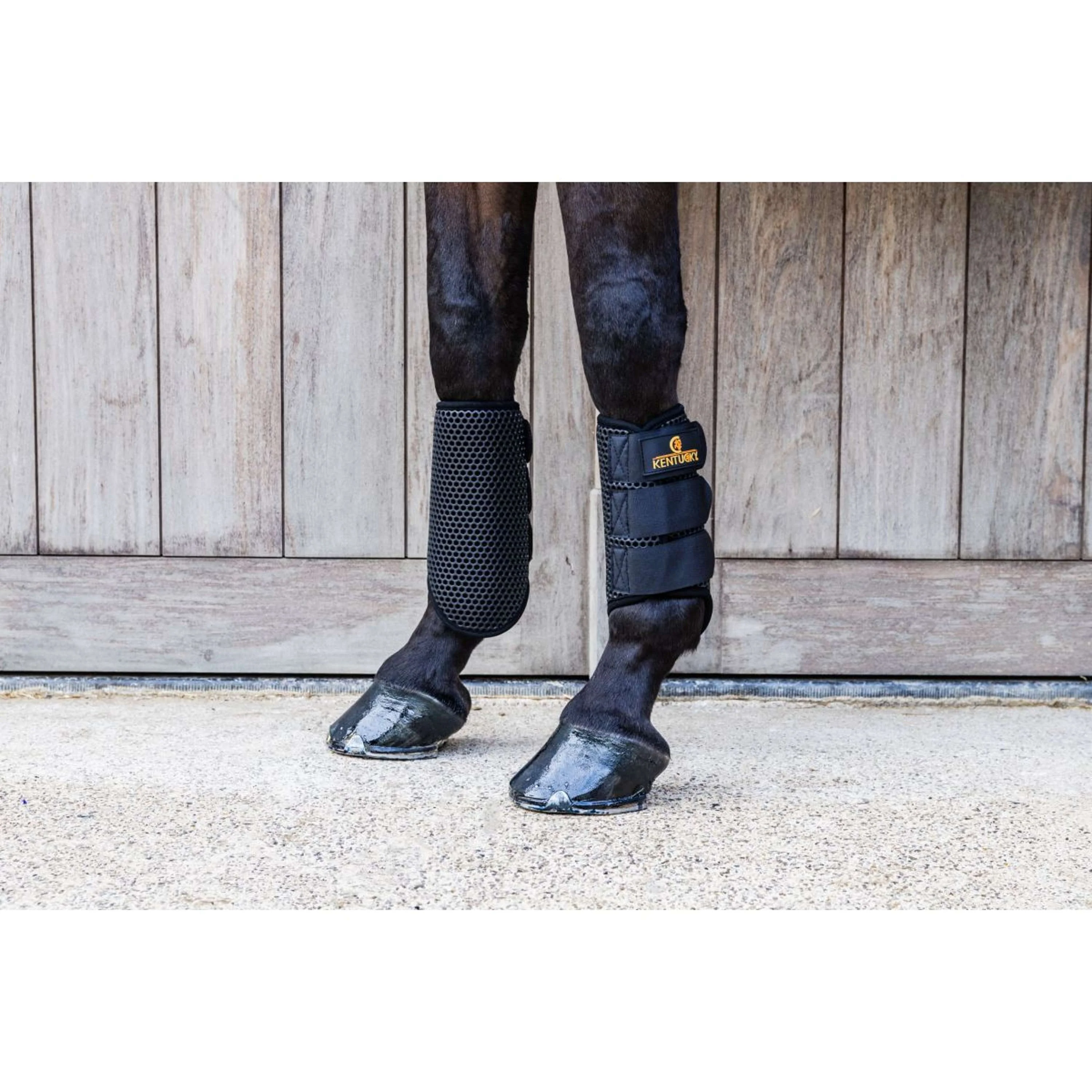Kentucky Turnout Boots ProAIR - Image 8