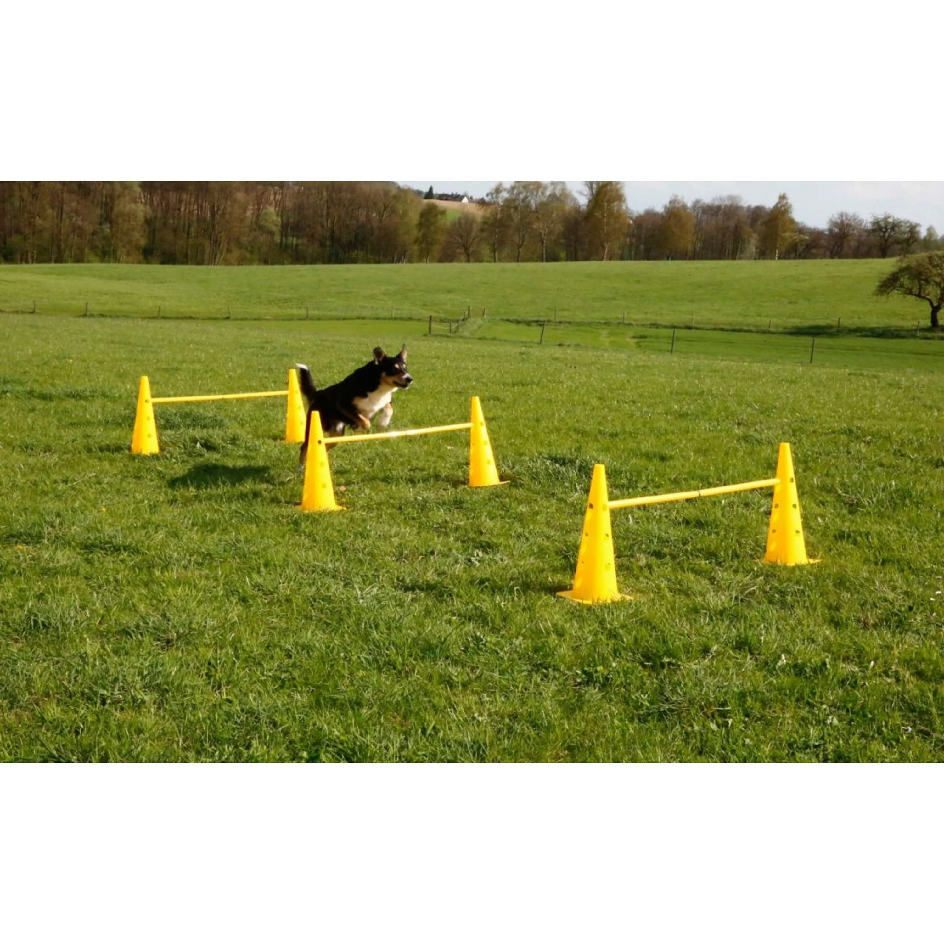 Kerbl Agility Pylon Set 3 Hindernisse Rot/Gelb - Image 2