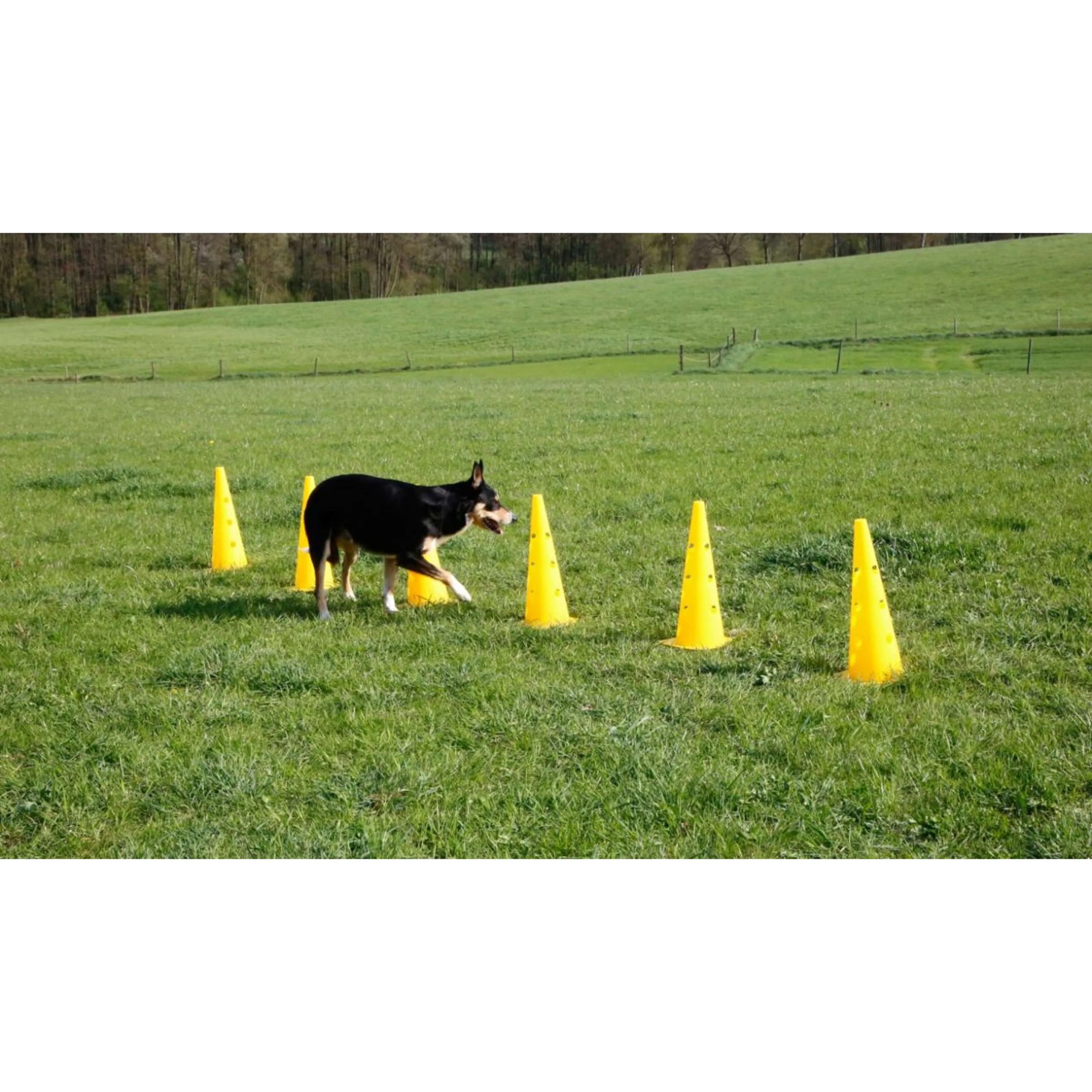 Kerbl Agility Pylon Set 3 Hindernisse Rot/Gelb - Image 3