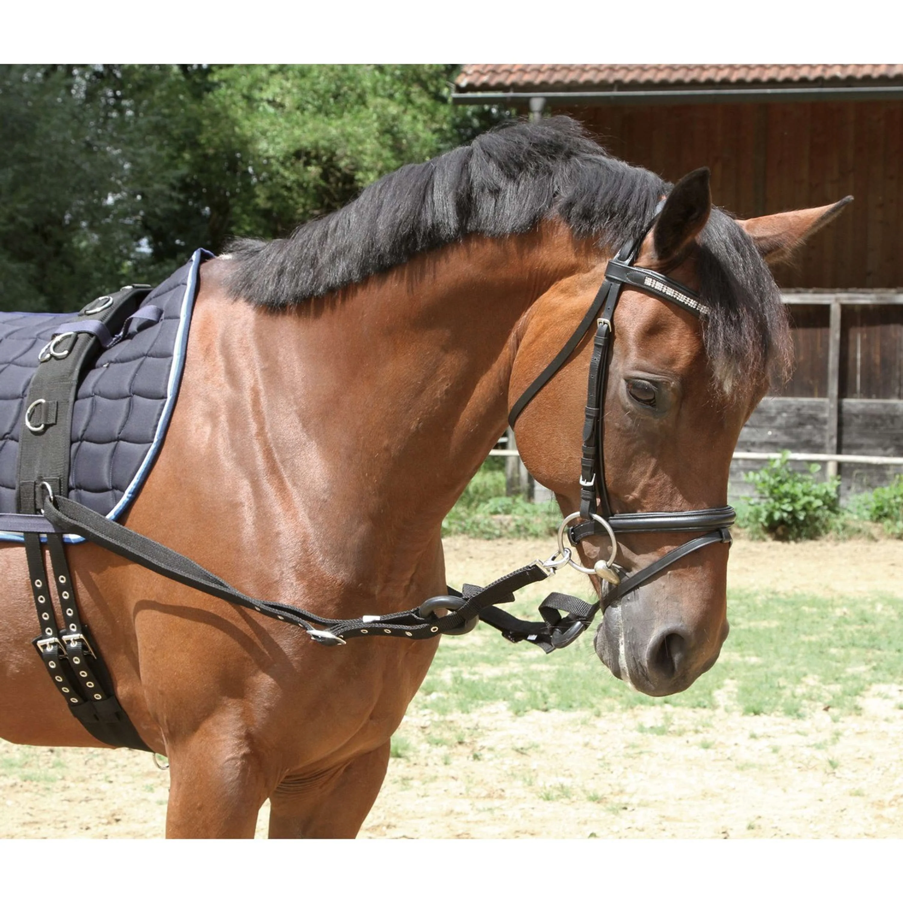 Kerbl Ausbindezügel Schwarz Pony Schwarz - Image 2