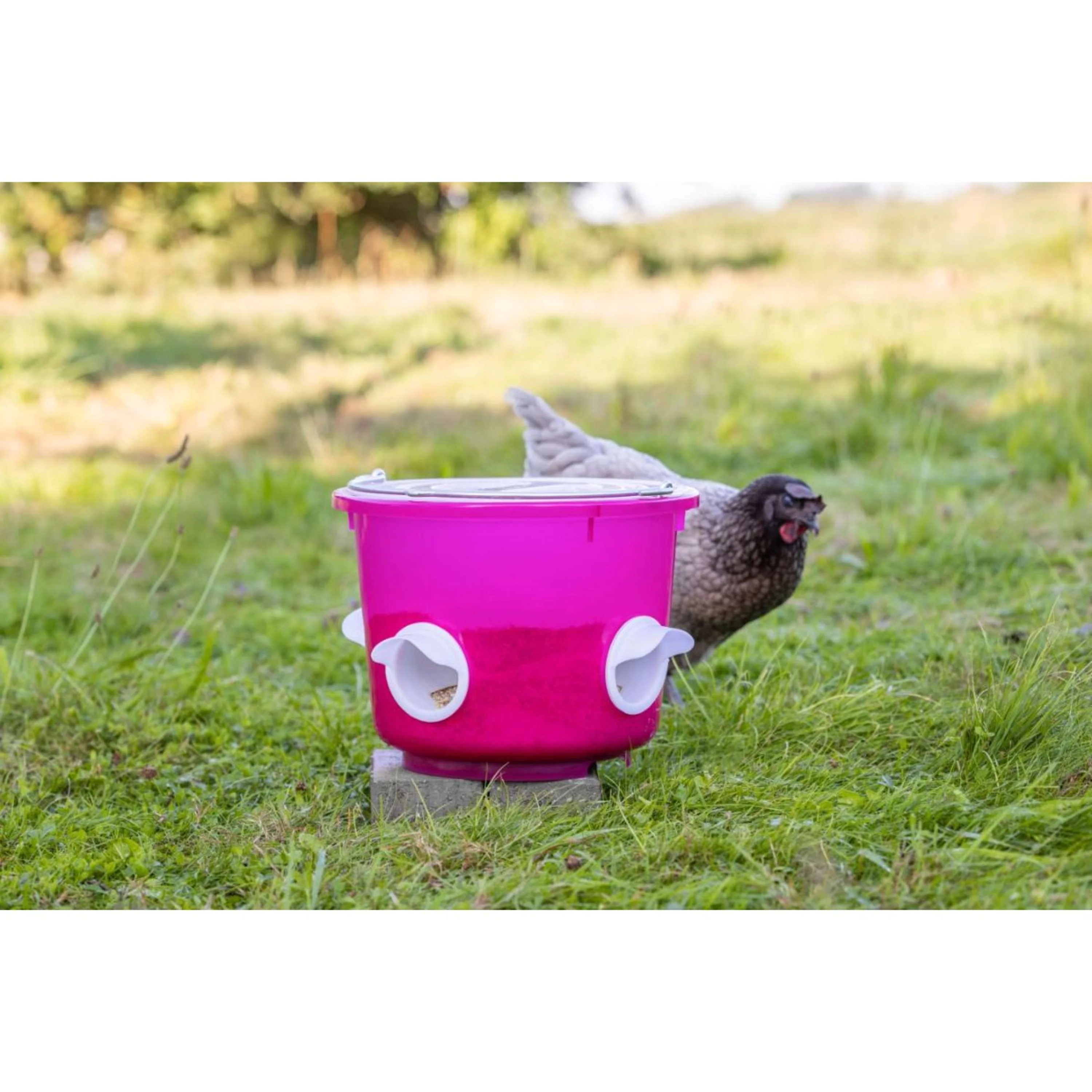 Kerbl Futtereimmer Hühner Rosa - Image 3