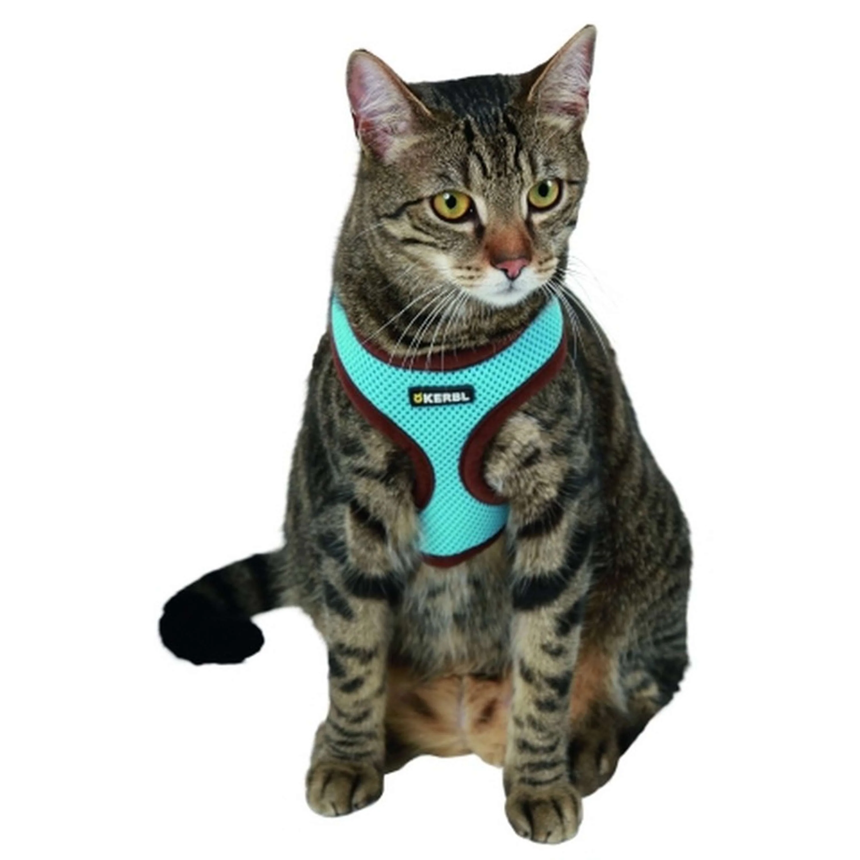 Kerbl Katzengeschirr Active mit Leine Blau - Image 2