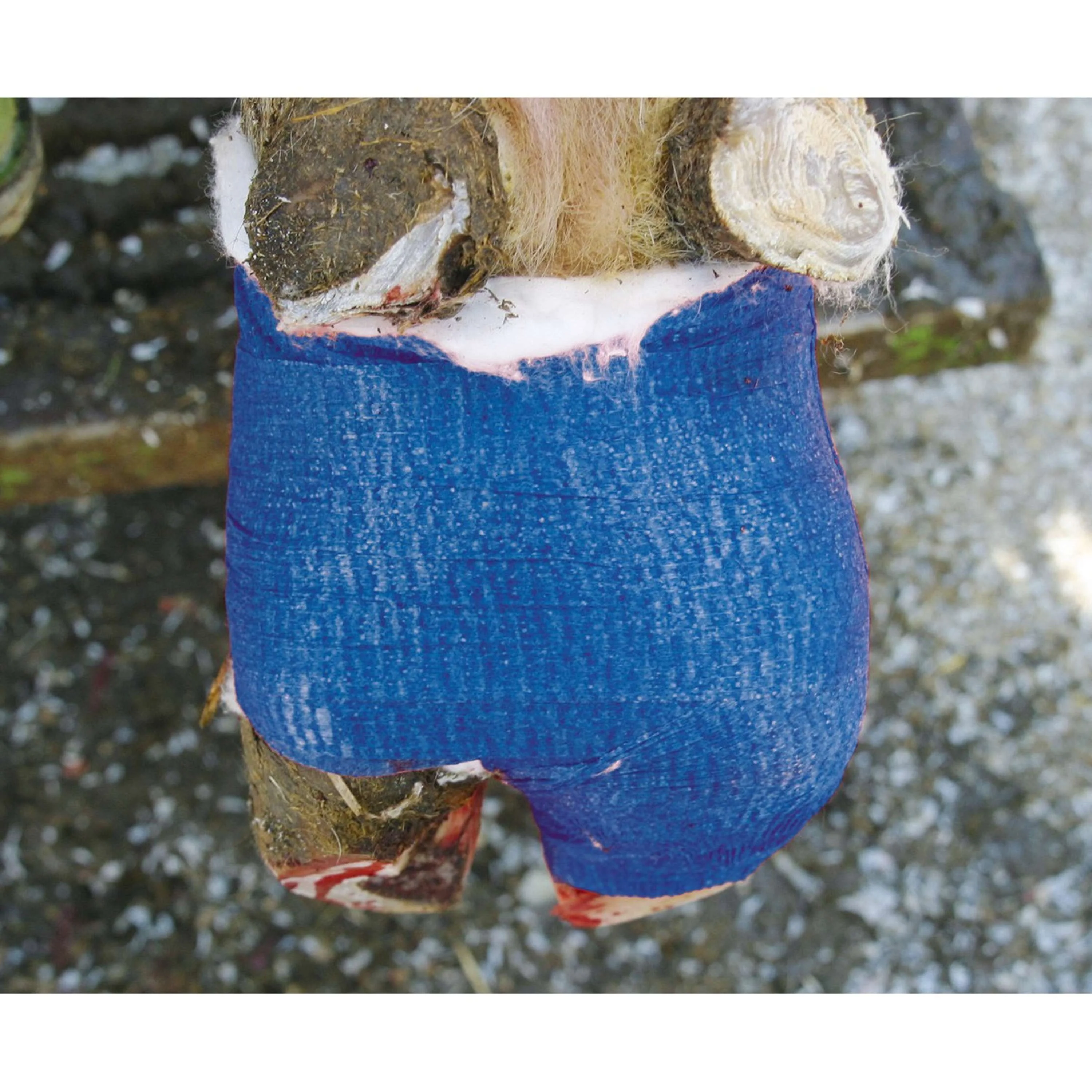 Kerbl VetLastic selbsthaft. Bandage Schwarz - Image 4