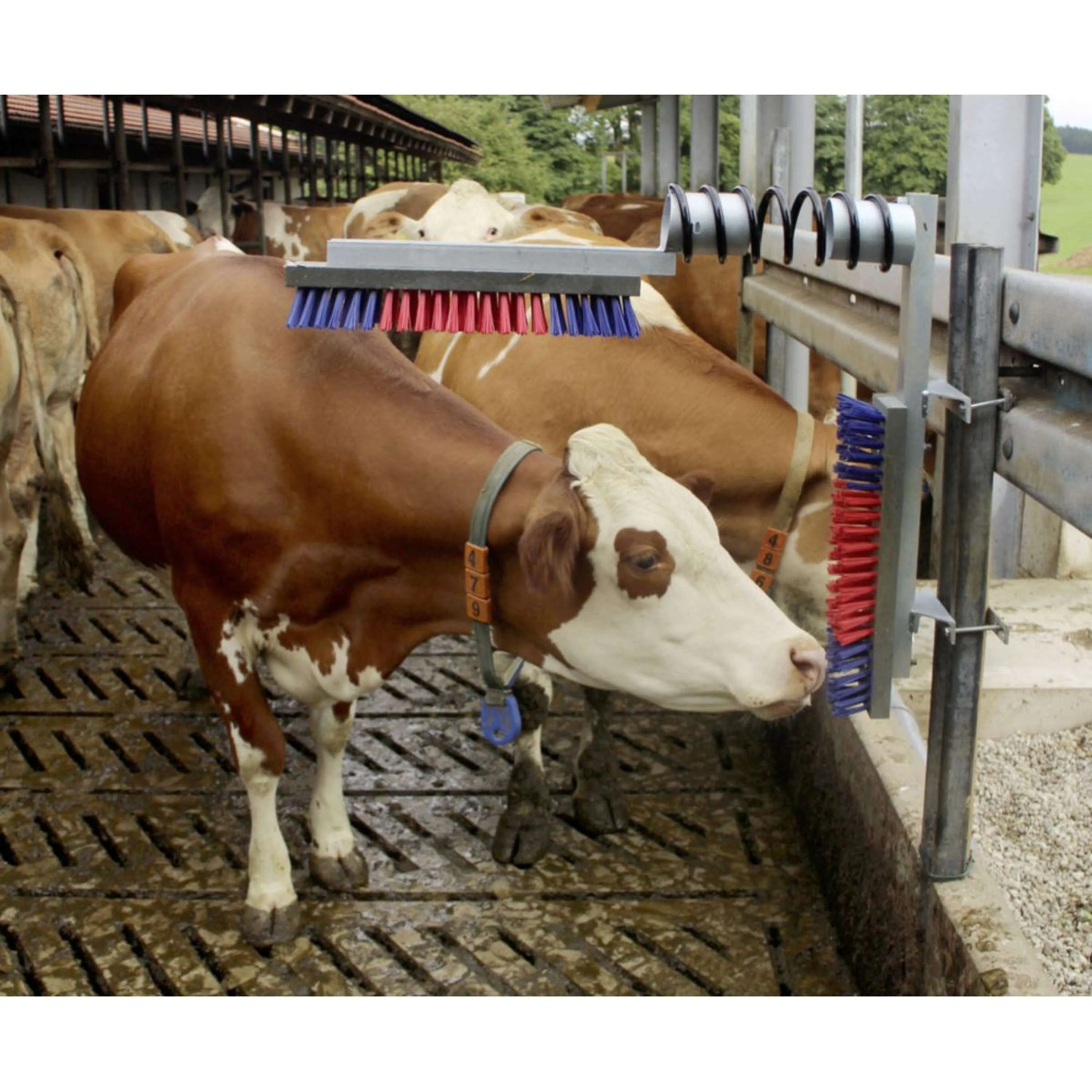 Kerbl Fiehbürste Euro Farm Komplett - Image 2