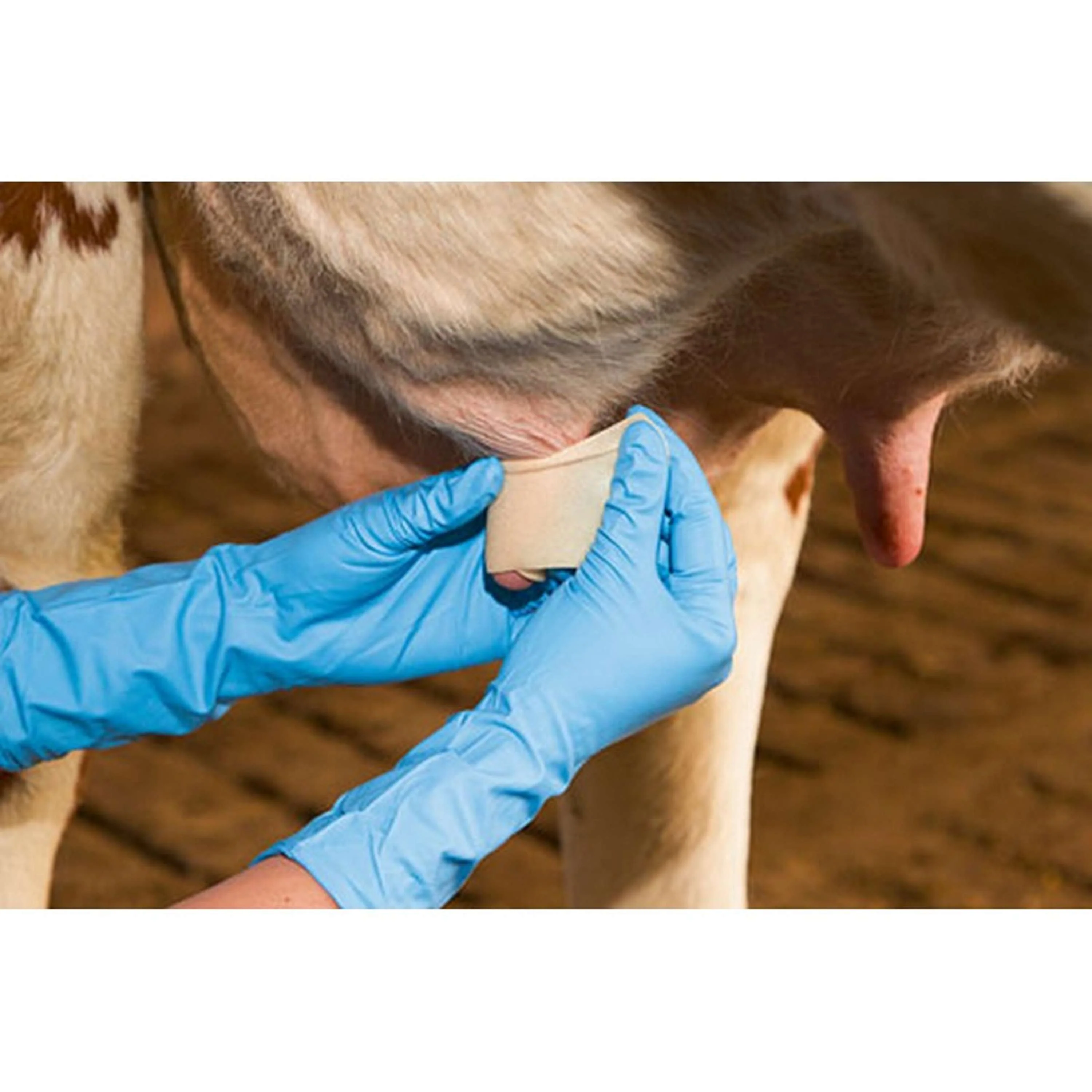 Kerbl Zitzenbandage Udderosoft - Image 5