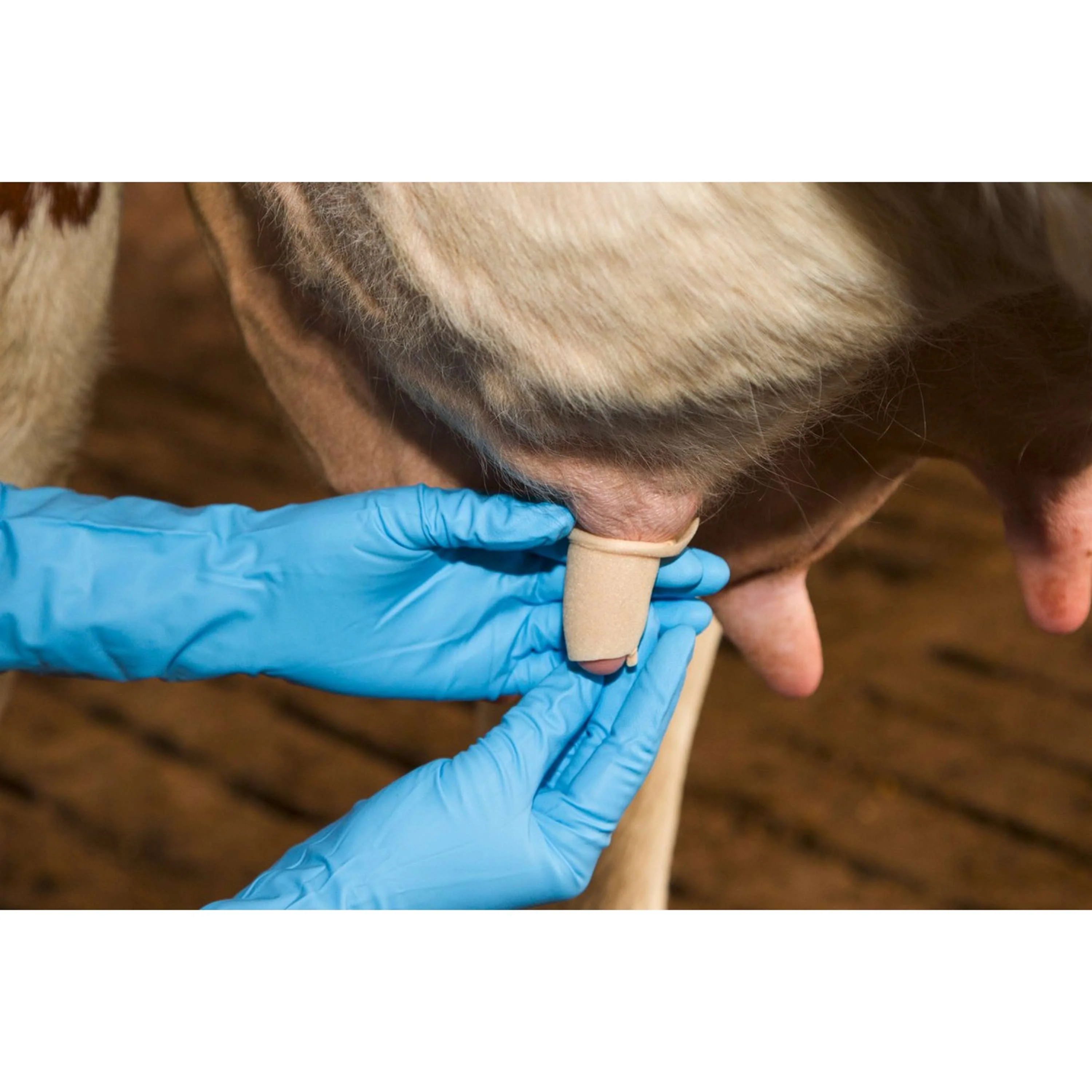 Kerbl Zitzenbandage Udderosoft - Image 6