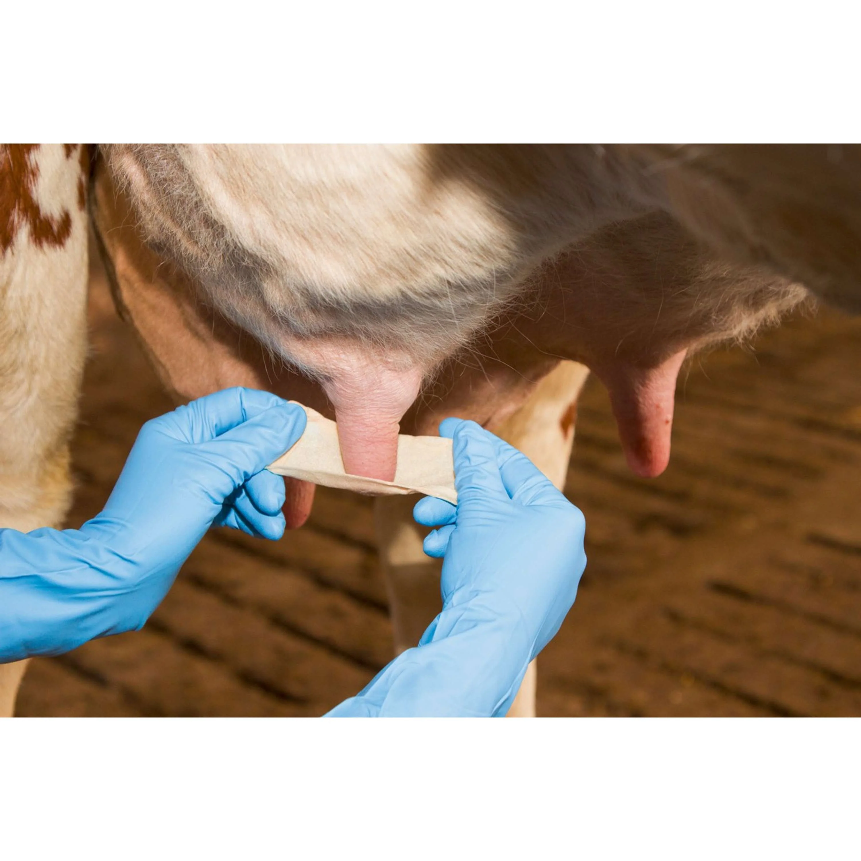 Kerbl Zitzenbandage Udderosoft - Image 7