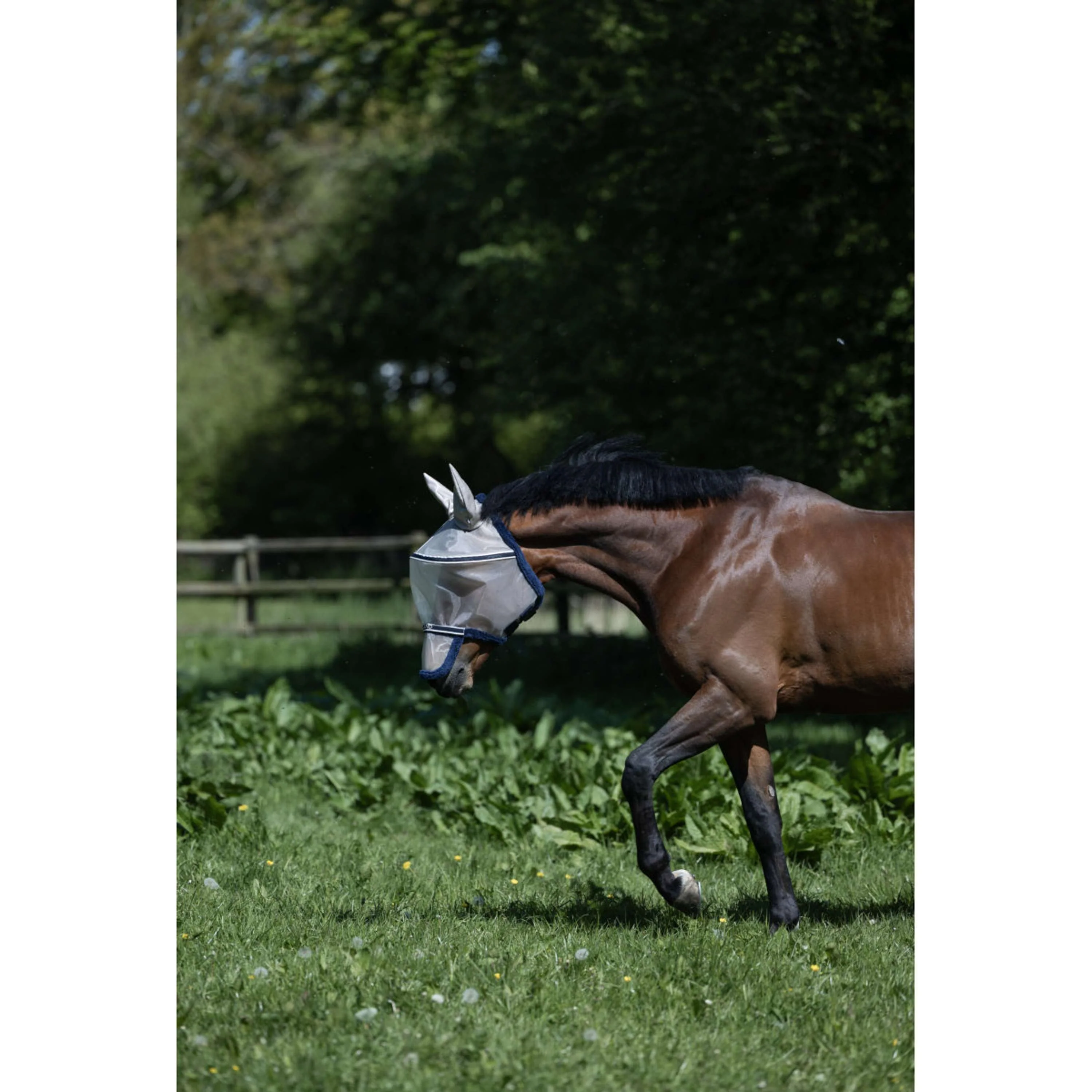Kingsland Fliegenmaske KLLando mit Ohren Rainy Day - Image 4